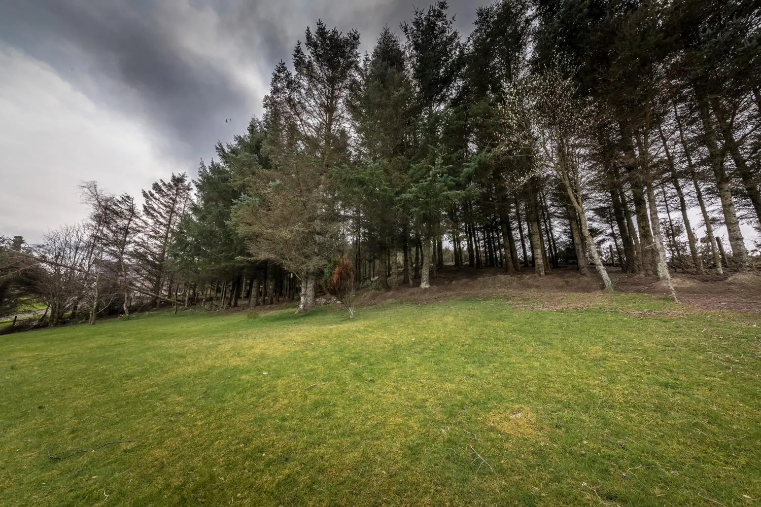 Garden in The Sheiling B&B - NC 500