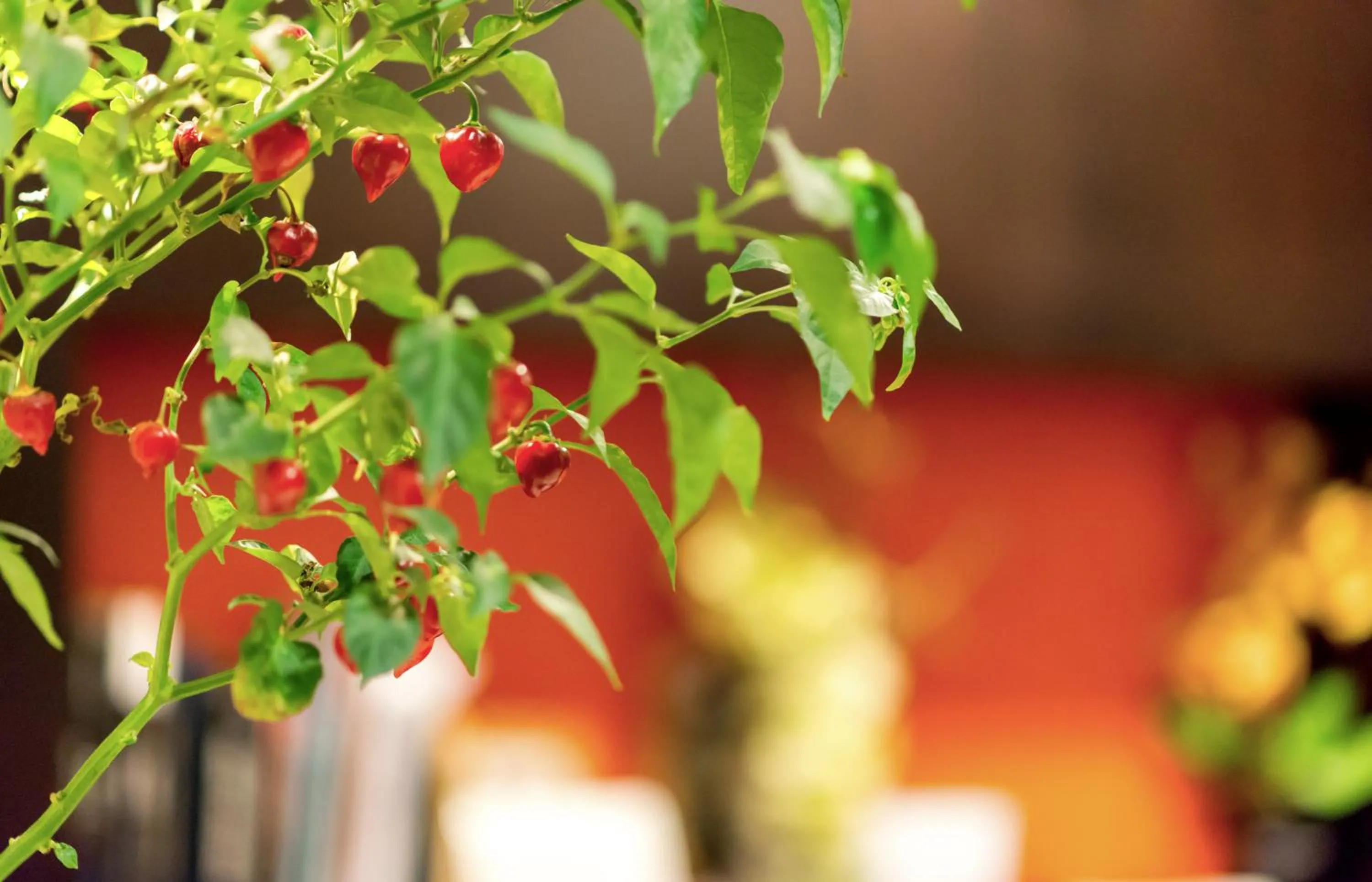 Other in Hotel Cavour