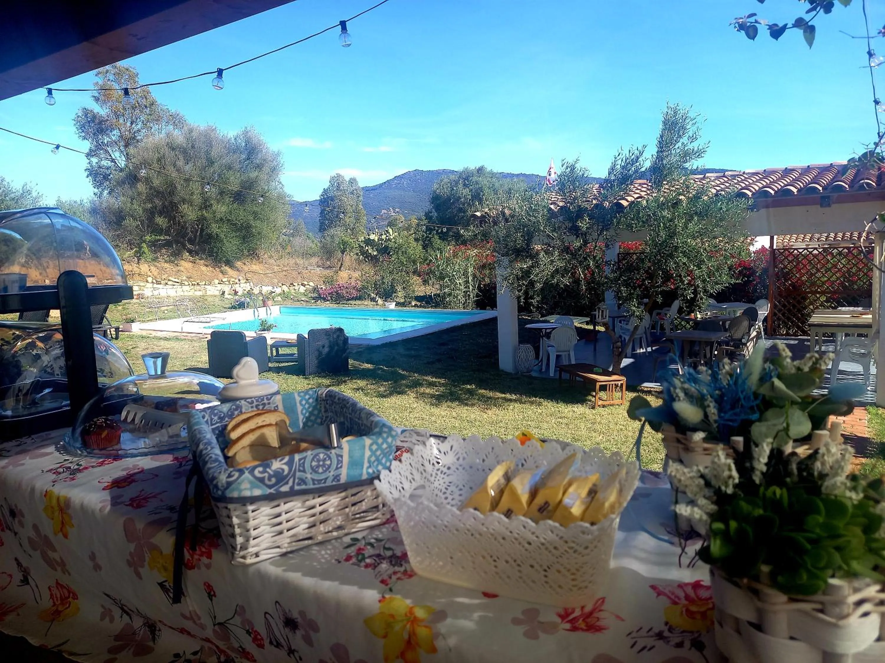 Garden view in SardAma B&B Affittacamere