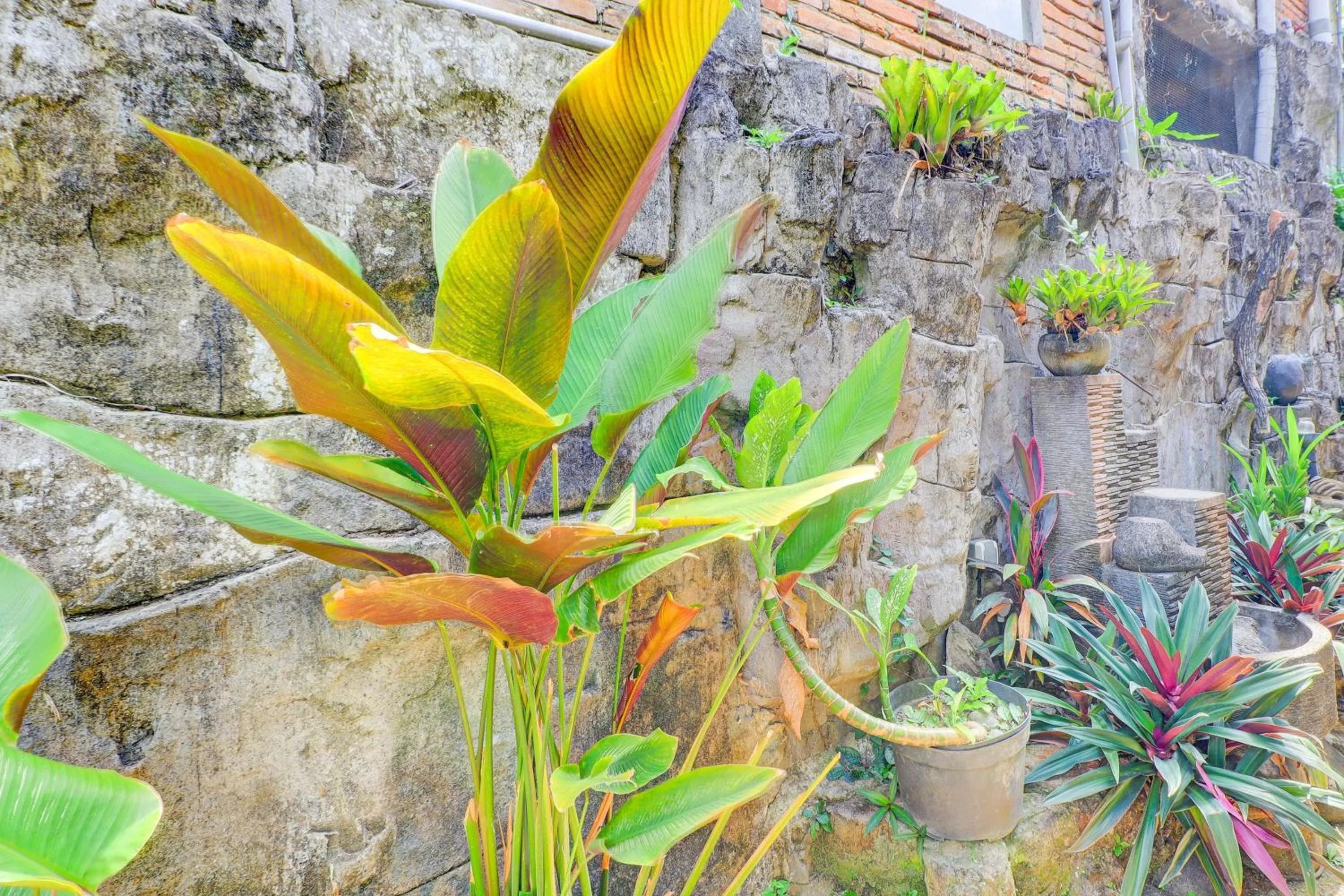 Lobby or reception in Hotel O Ubud Asri Homestay Near Monkey Forest