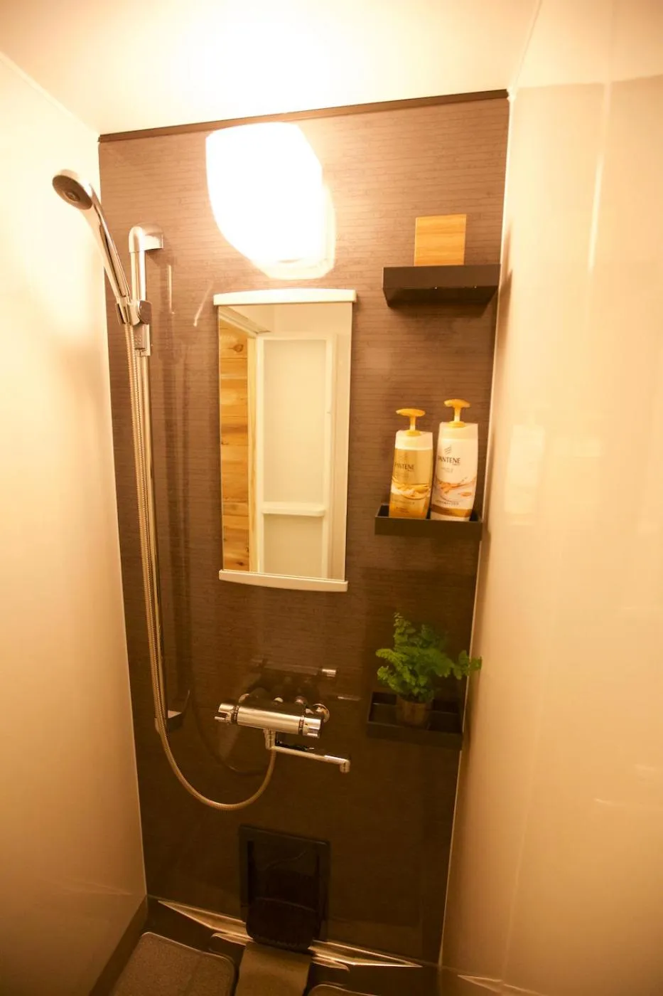 Shower in Snowball Chalet at Madarao Mountain