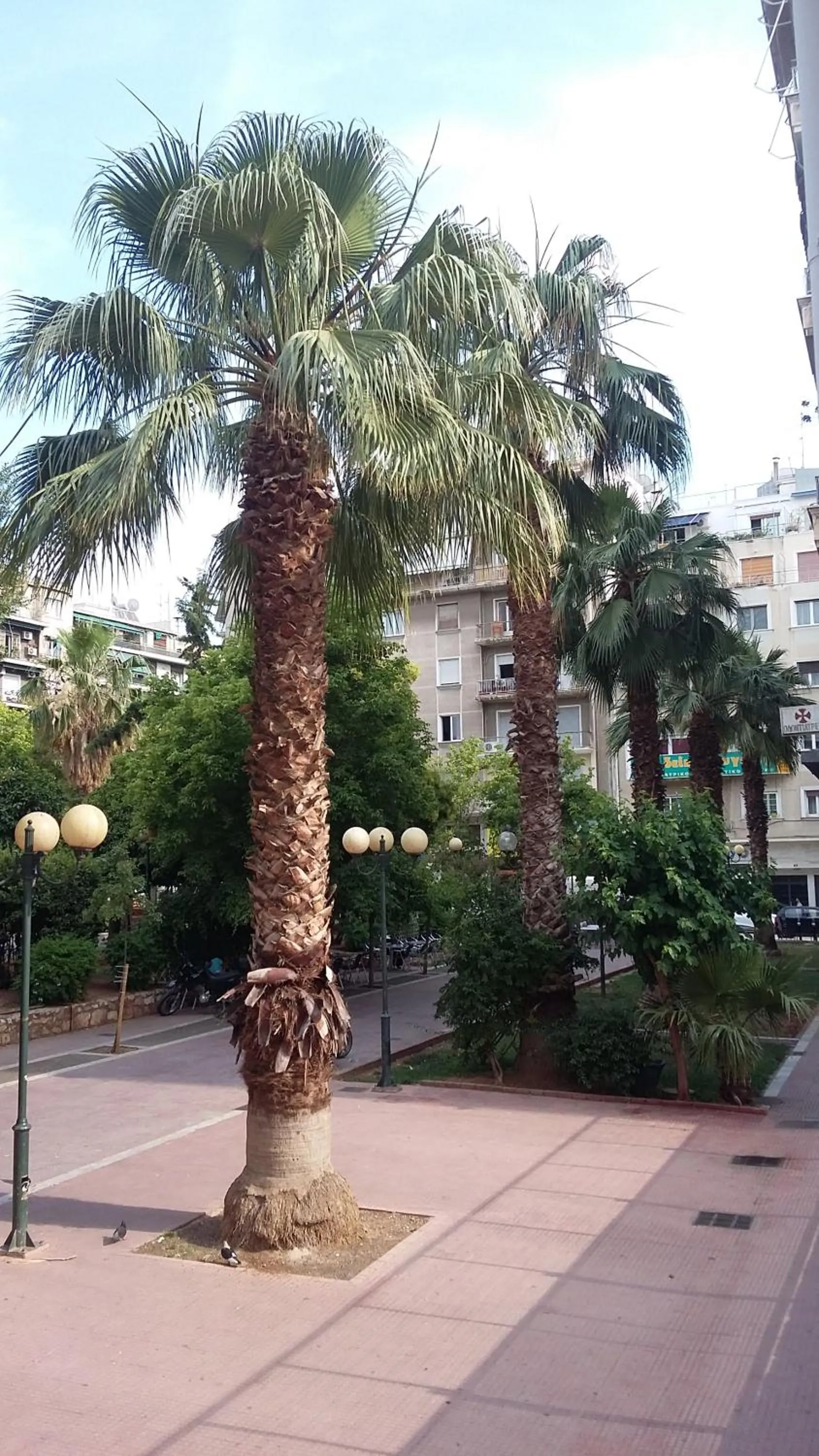 Natural landscape in Exis Hotel