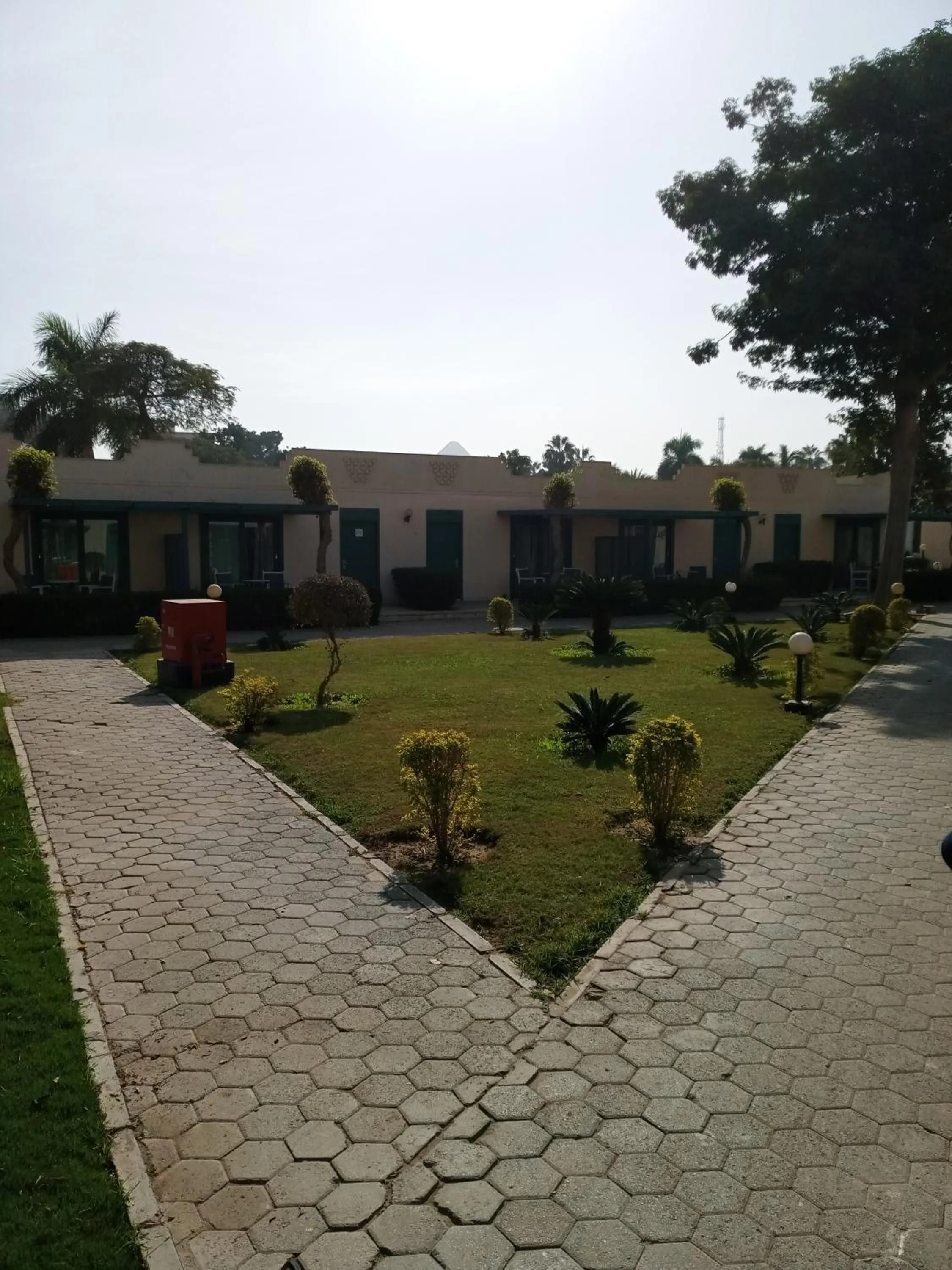 Garden in Cairo Pyramids Hotel