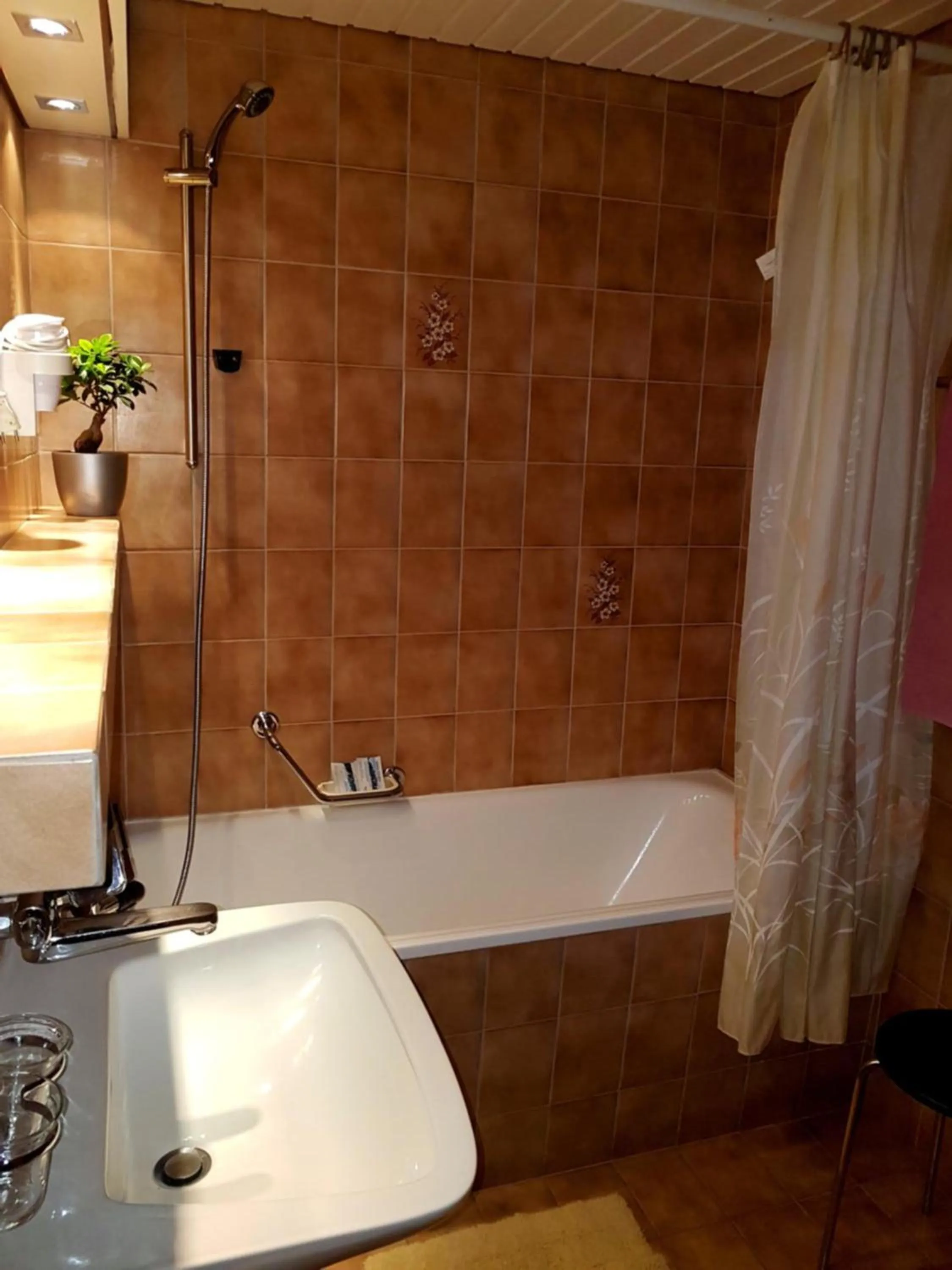 Shower in Hotel Sonne