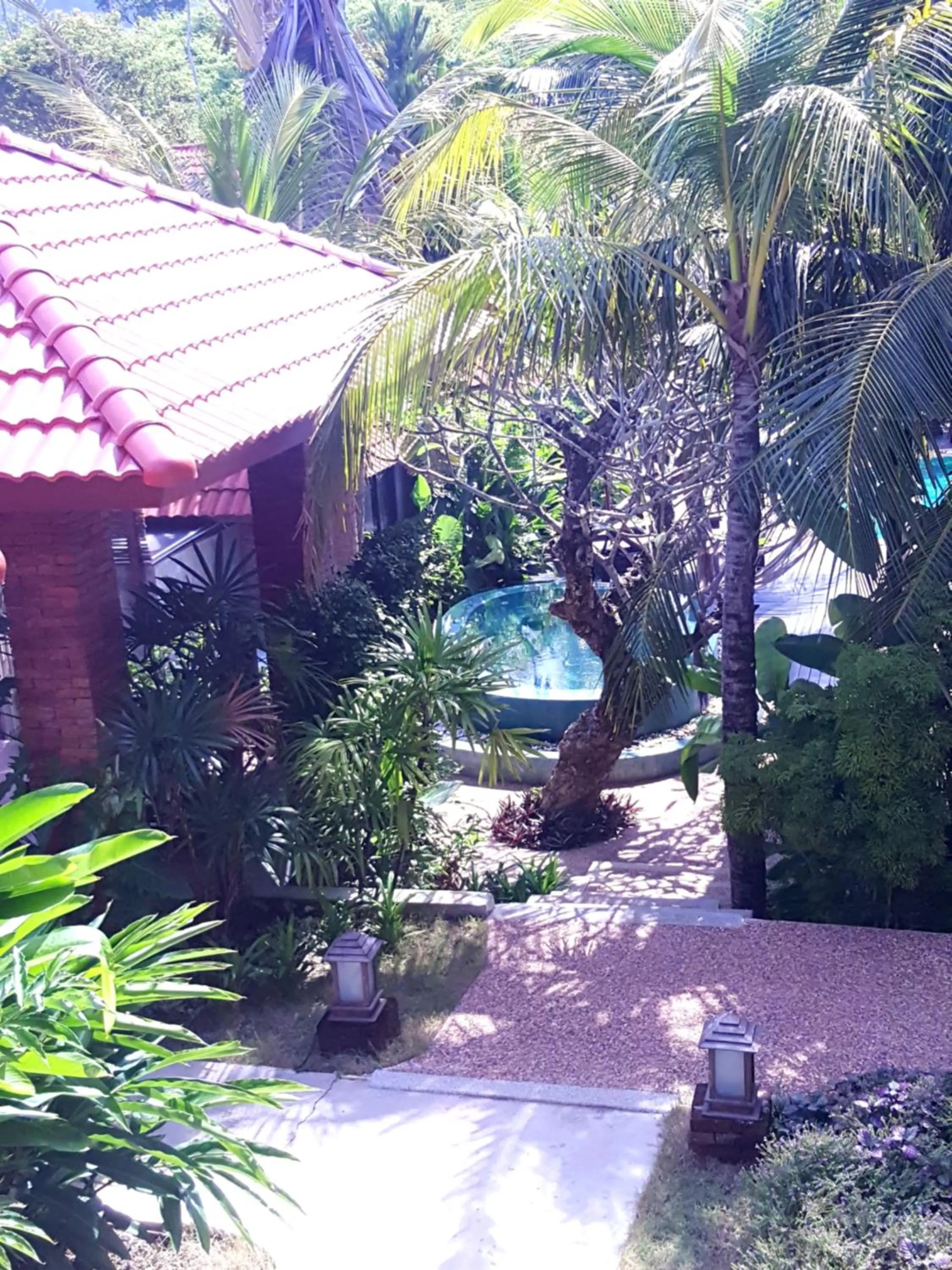 Area and facilities in Tropicana Lanta Resort