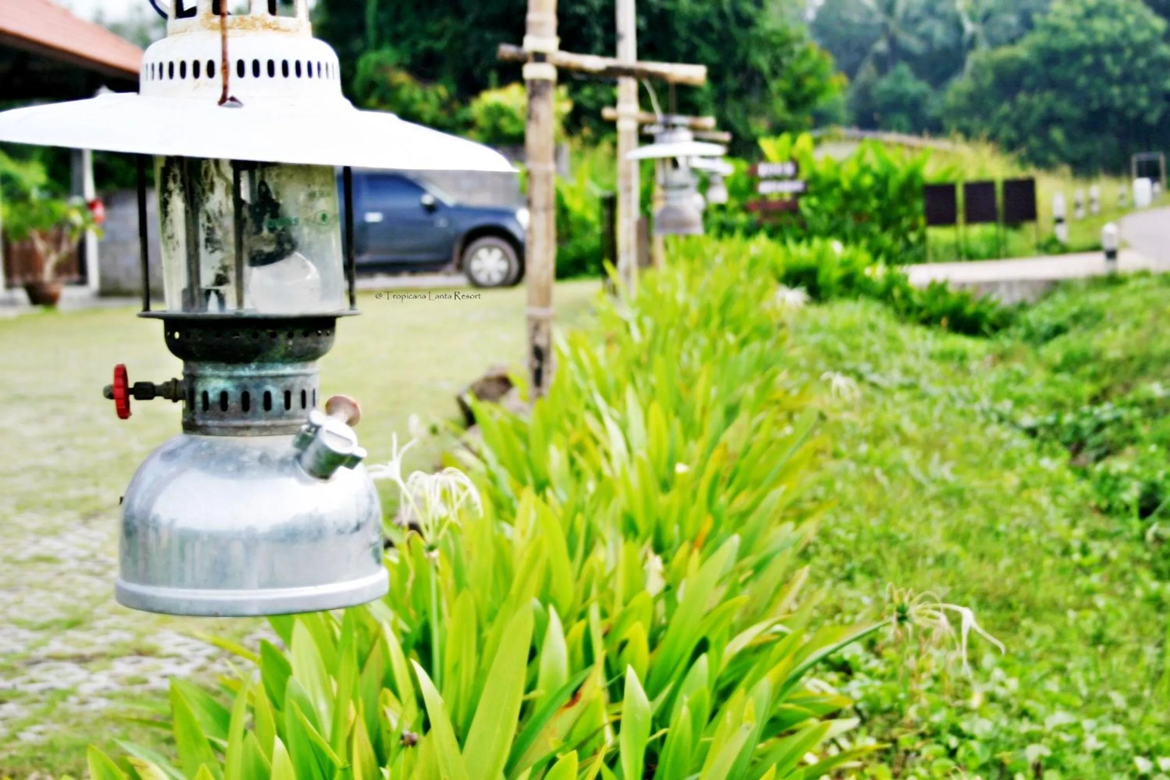 Garden in Tropicana Lanta Resort