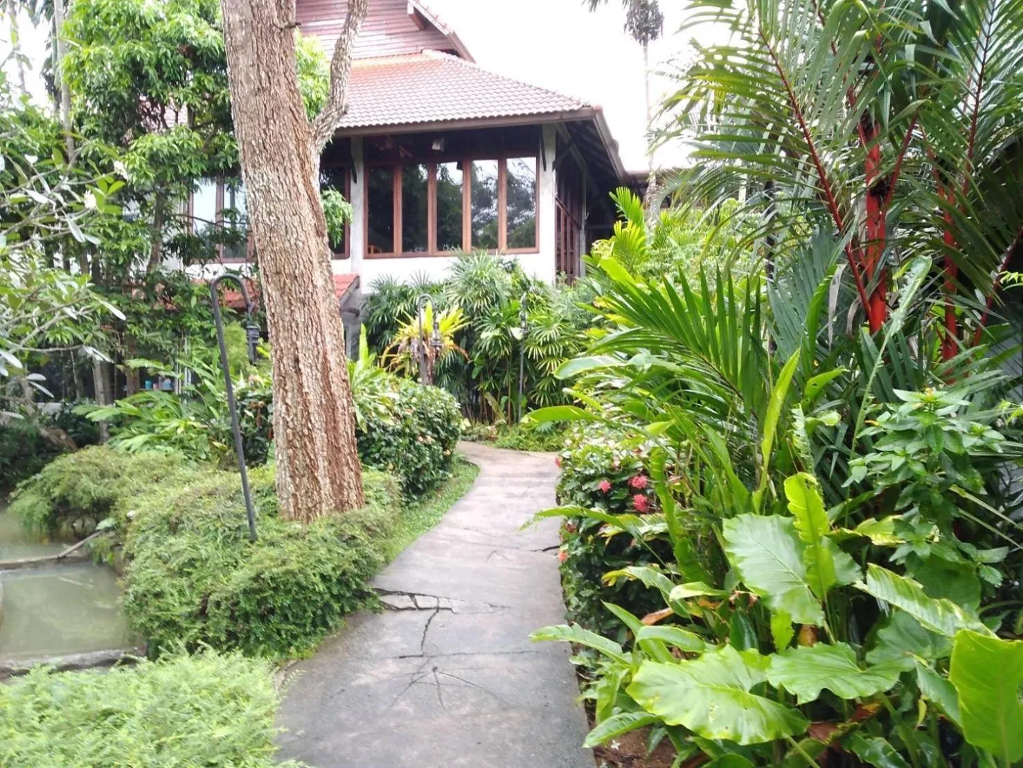 Restaurant/places to eat in Tropicana Lanta Resort