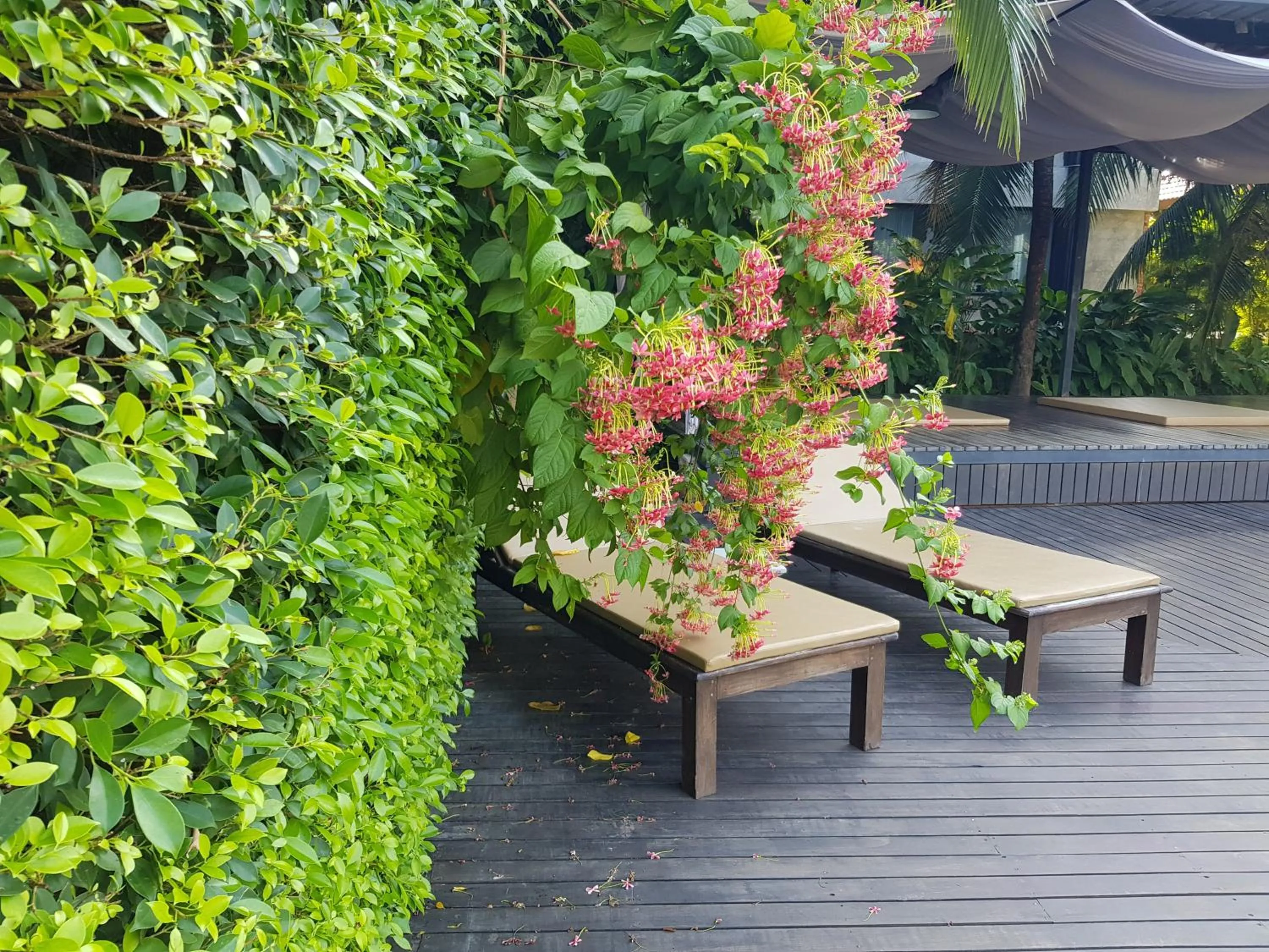 Patio in Tropicana Lanta Resort