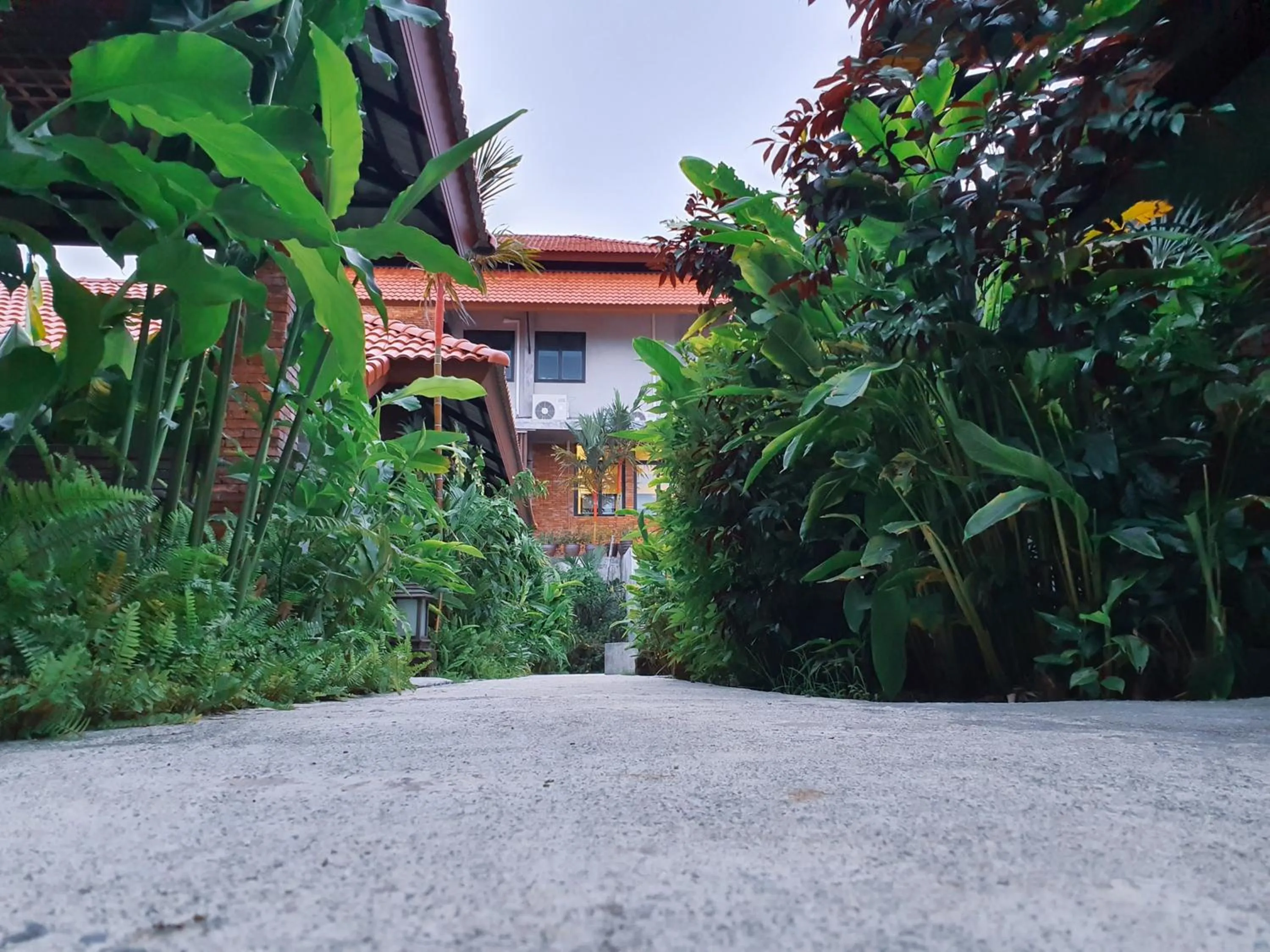 Area and facilities in Tropicana Lanta Resort