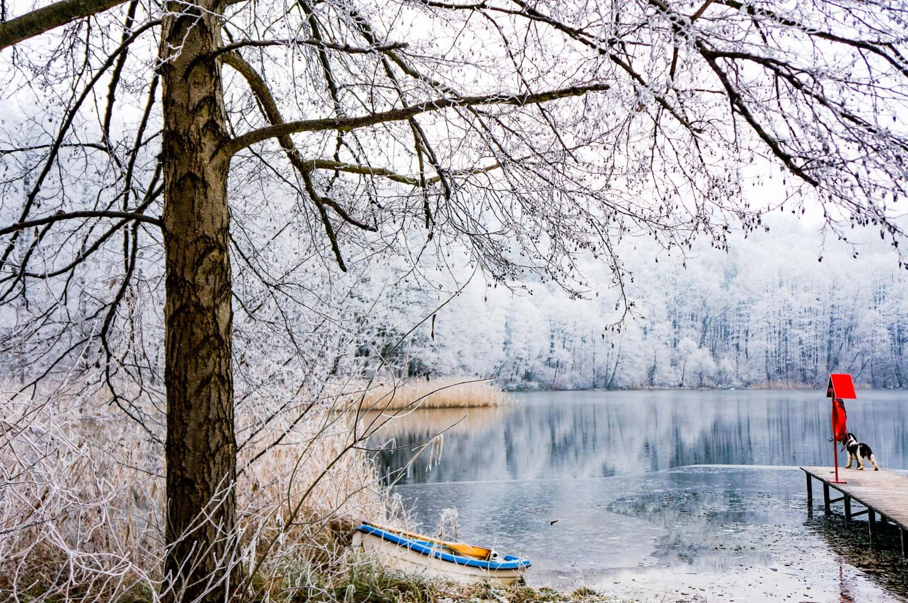 Activities in Hotel Głęboczek Vine Resort& Spa