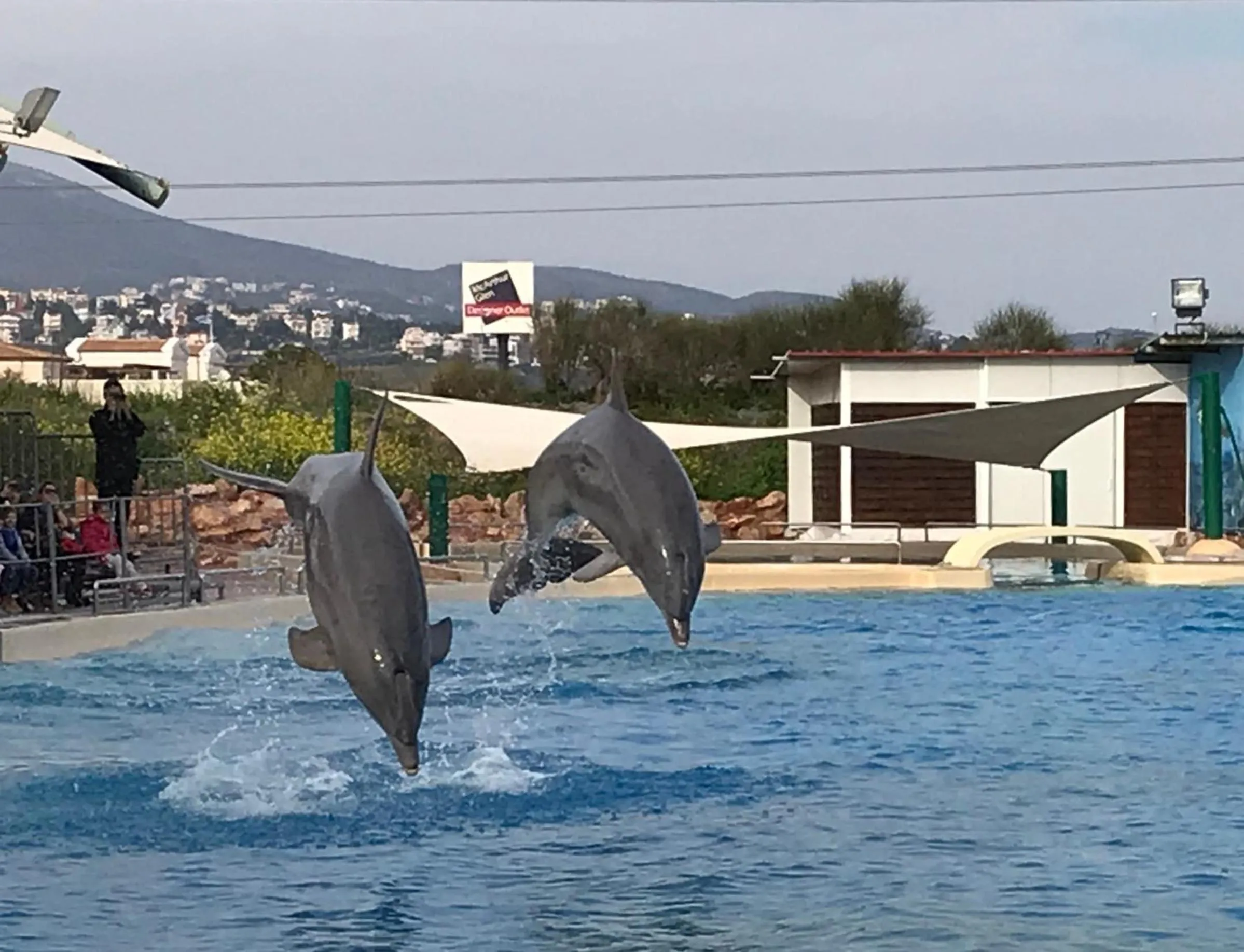 Aqua park in Dina's House