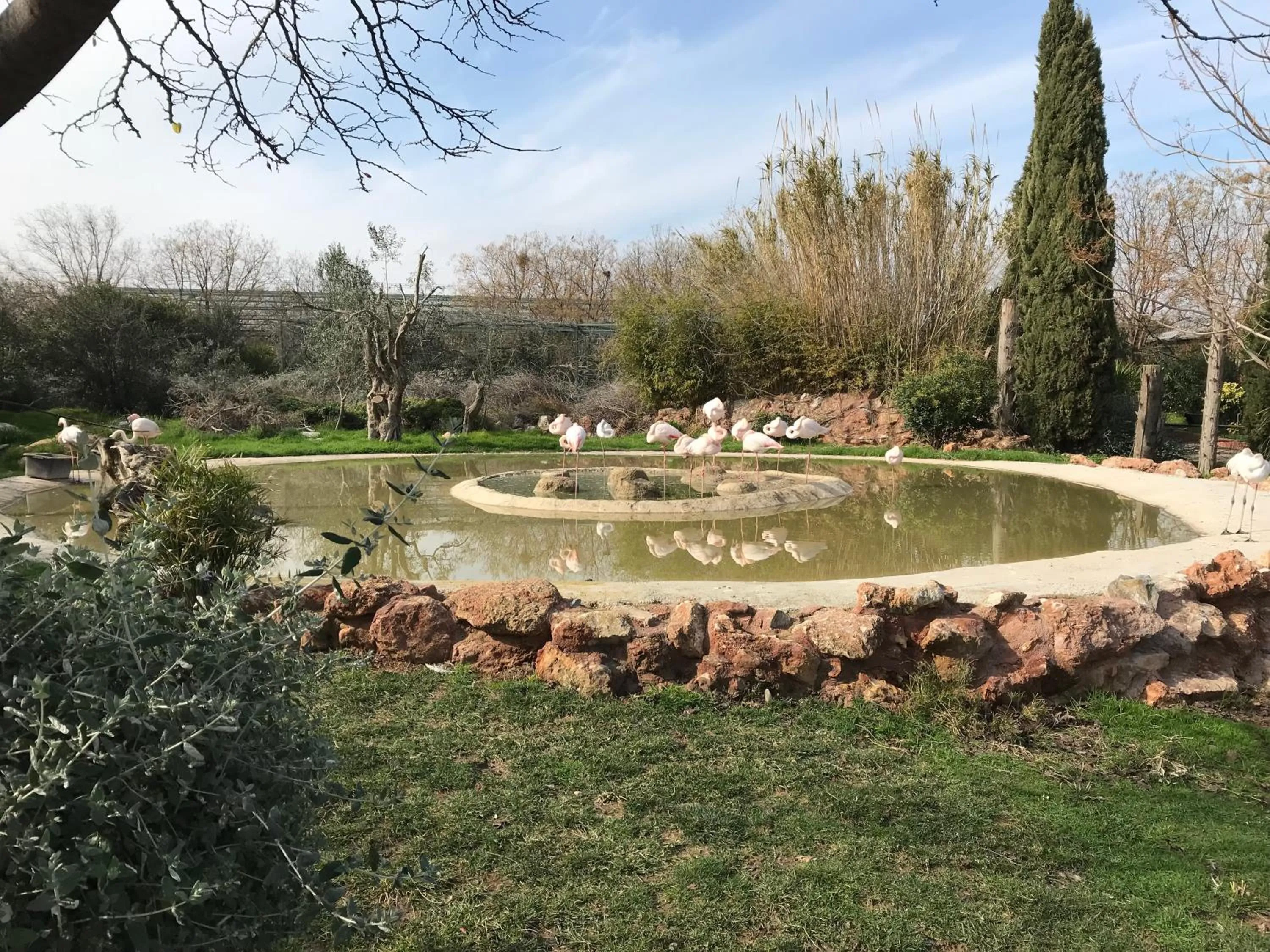 Aqua park in Dina's House