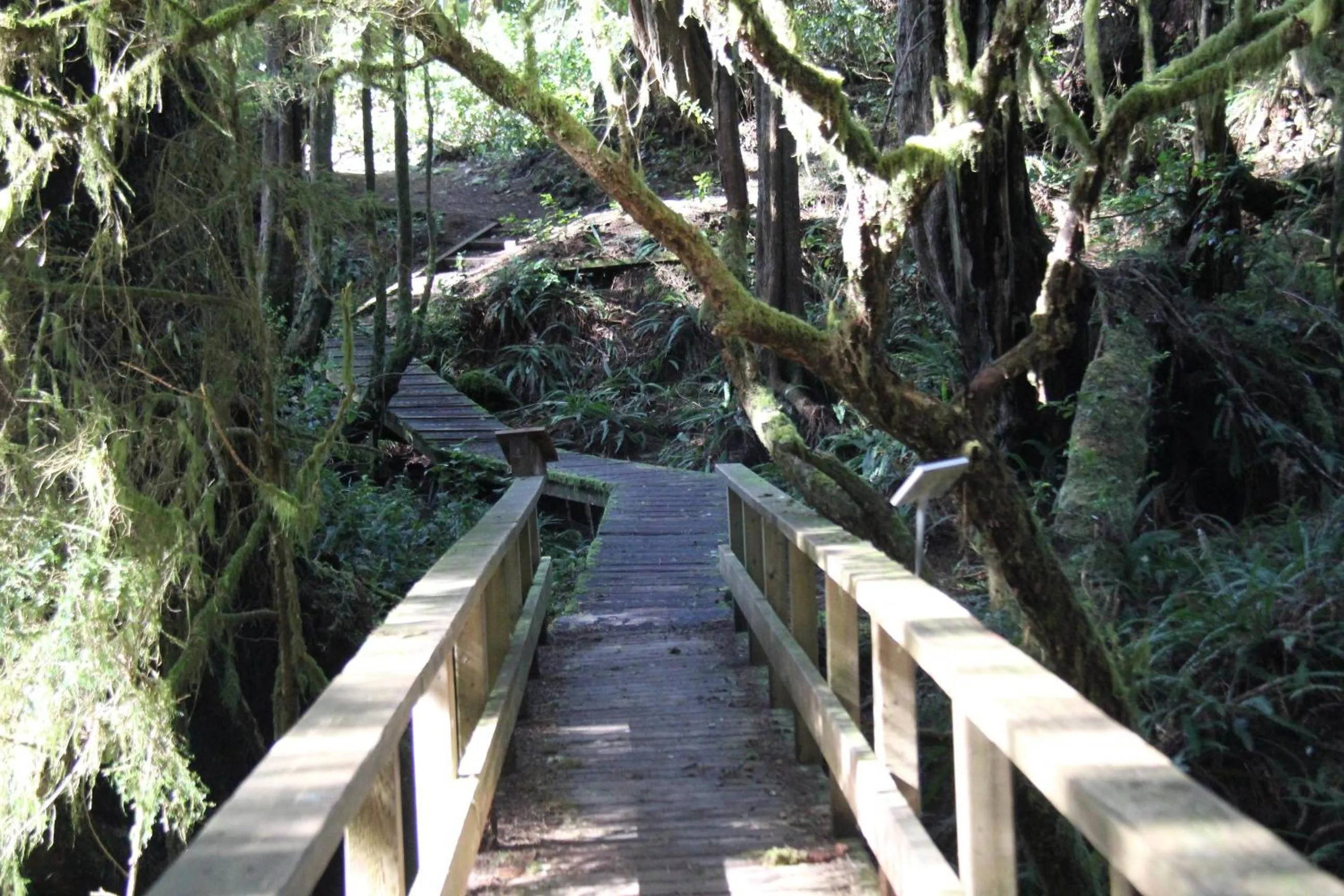 Property building in Great Condo In Excellent Location - Waterfront Building - Seaside