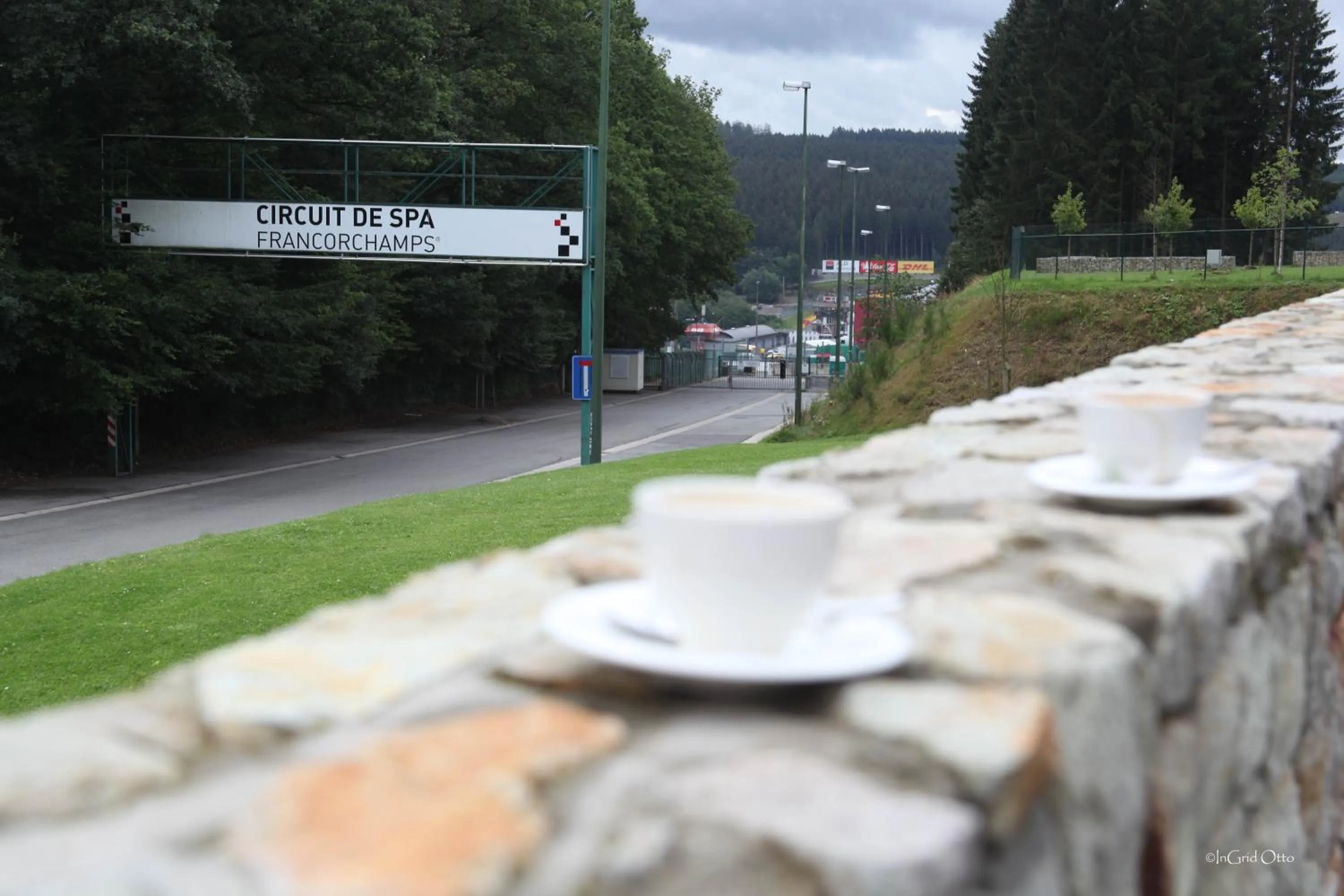 Animals in Hotel de la Source