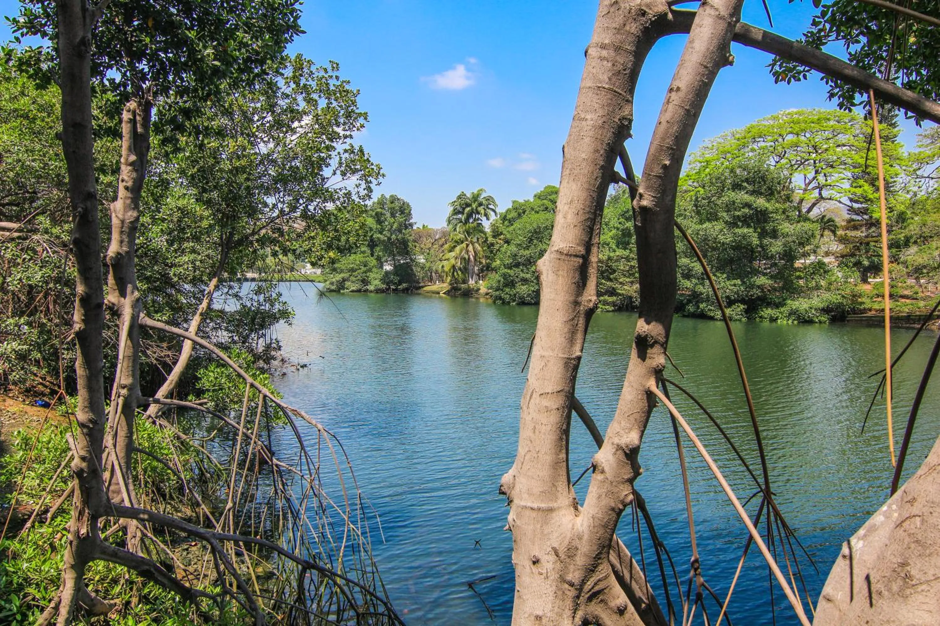 Radisson Hotel Guayaquil