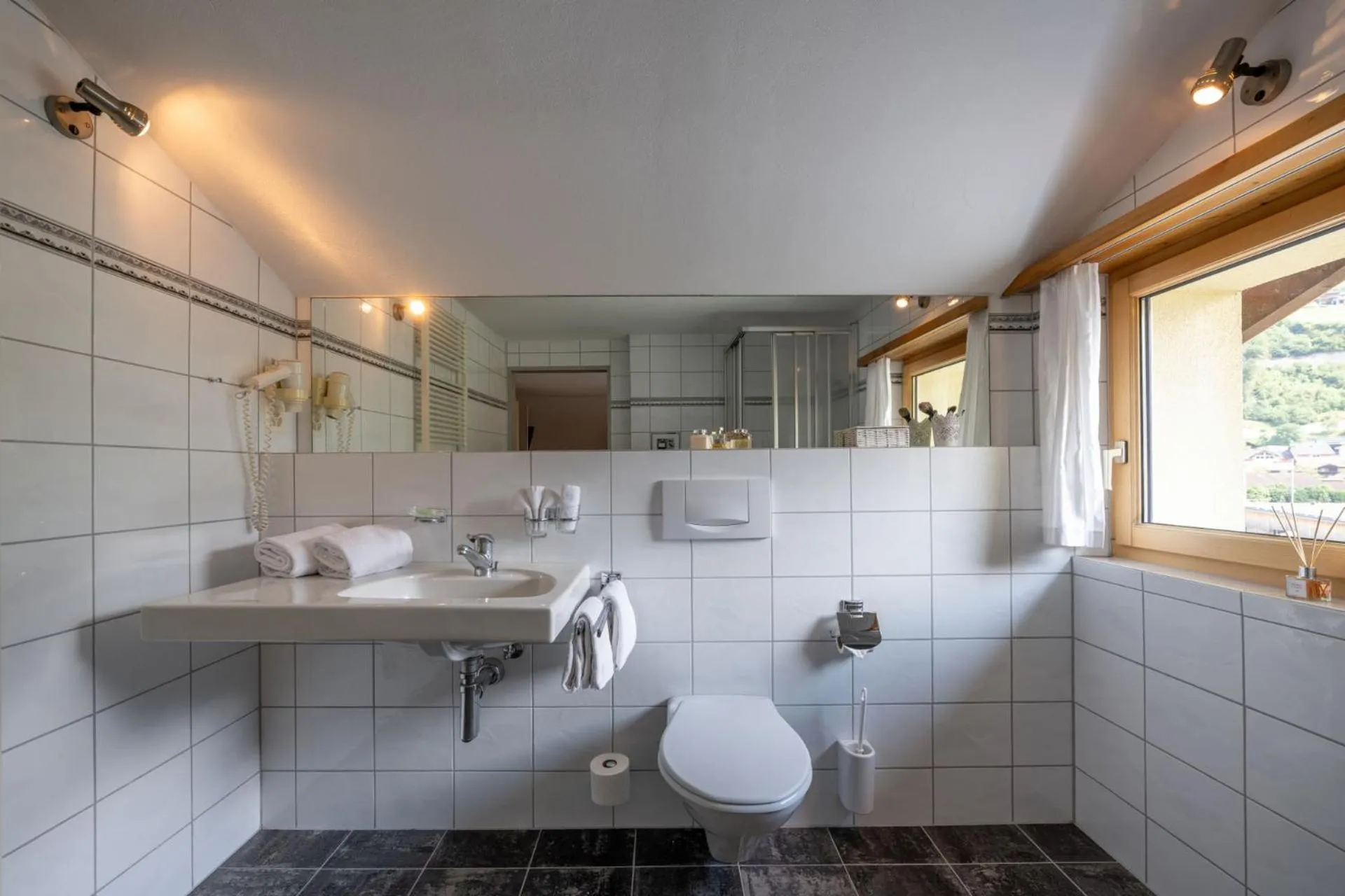 Toilet in Hotel Alpina