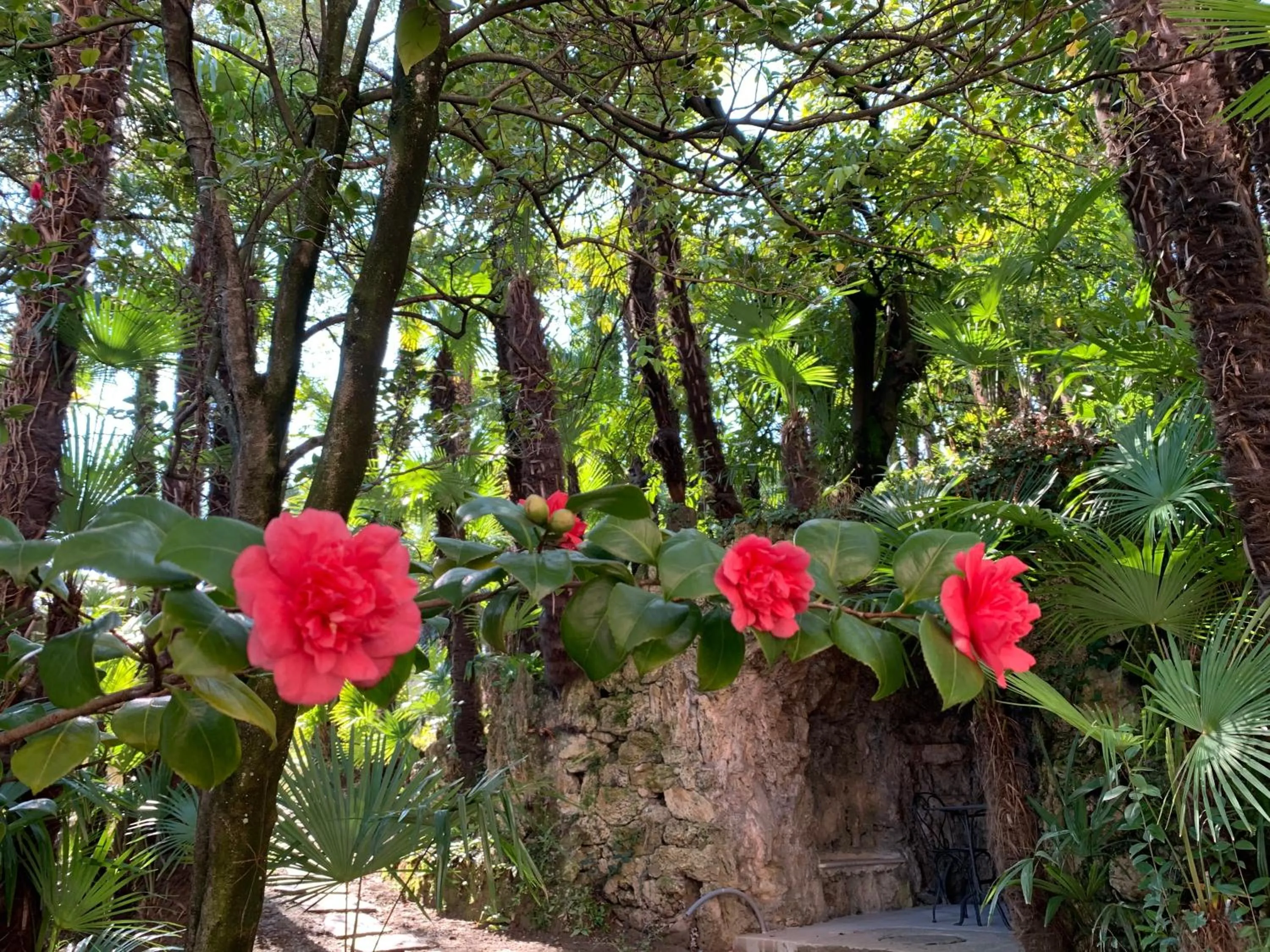 Garden in Hotel&Hostel Montarina