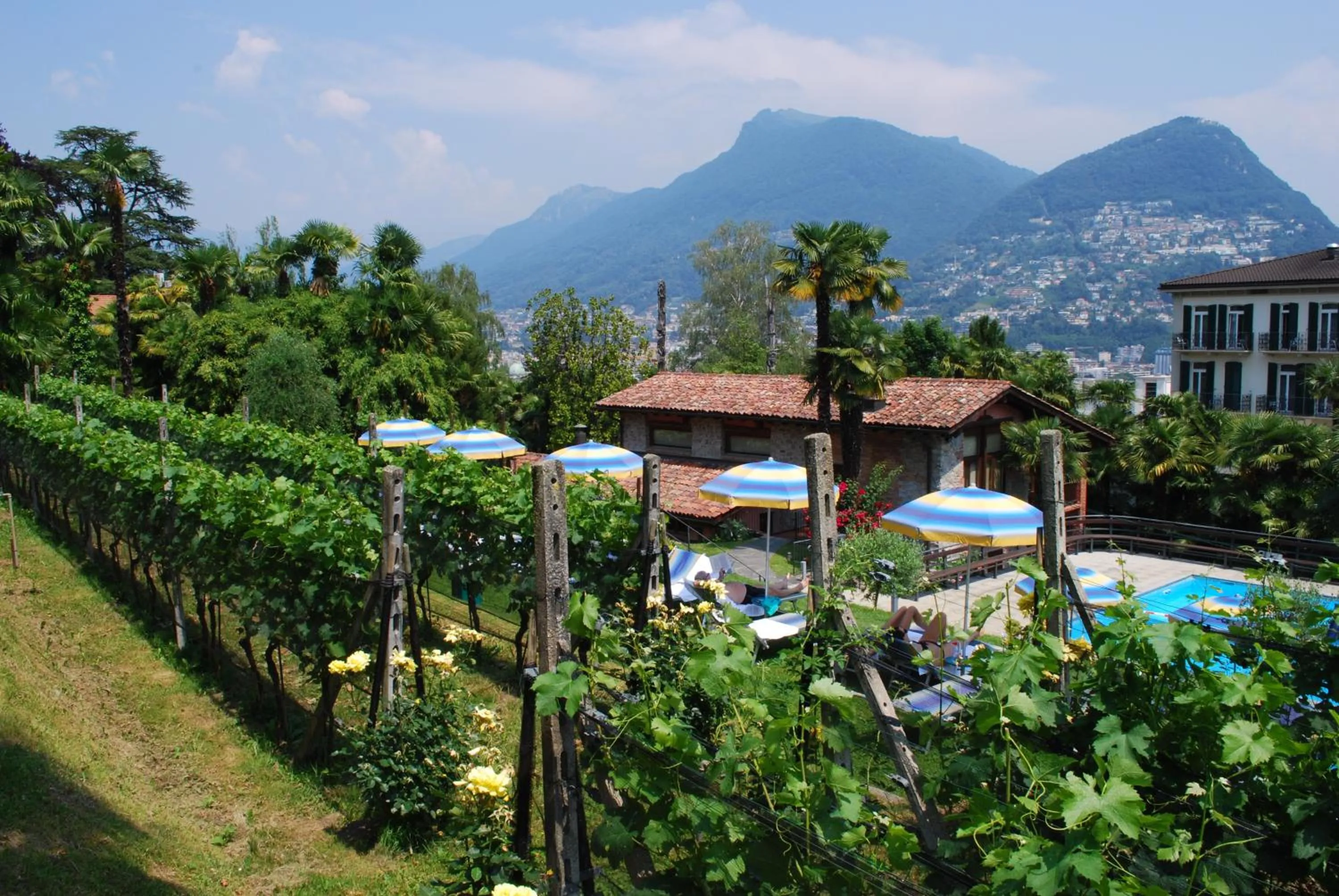 Other in Hotel&Hostel Montarina