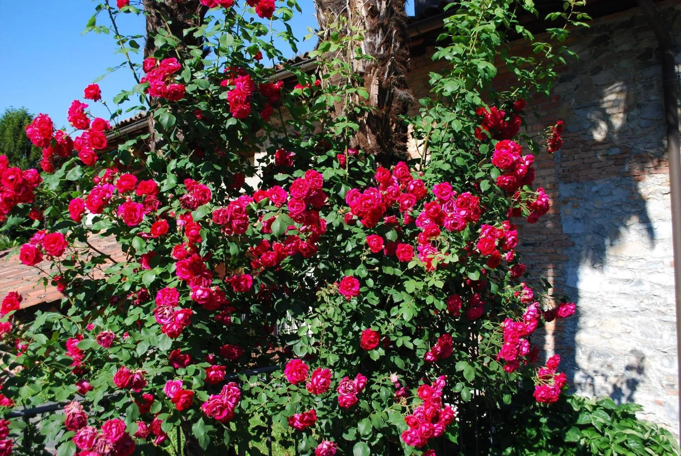 Spring in Hotel&Hostel Montarina