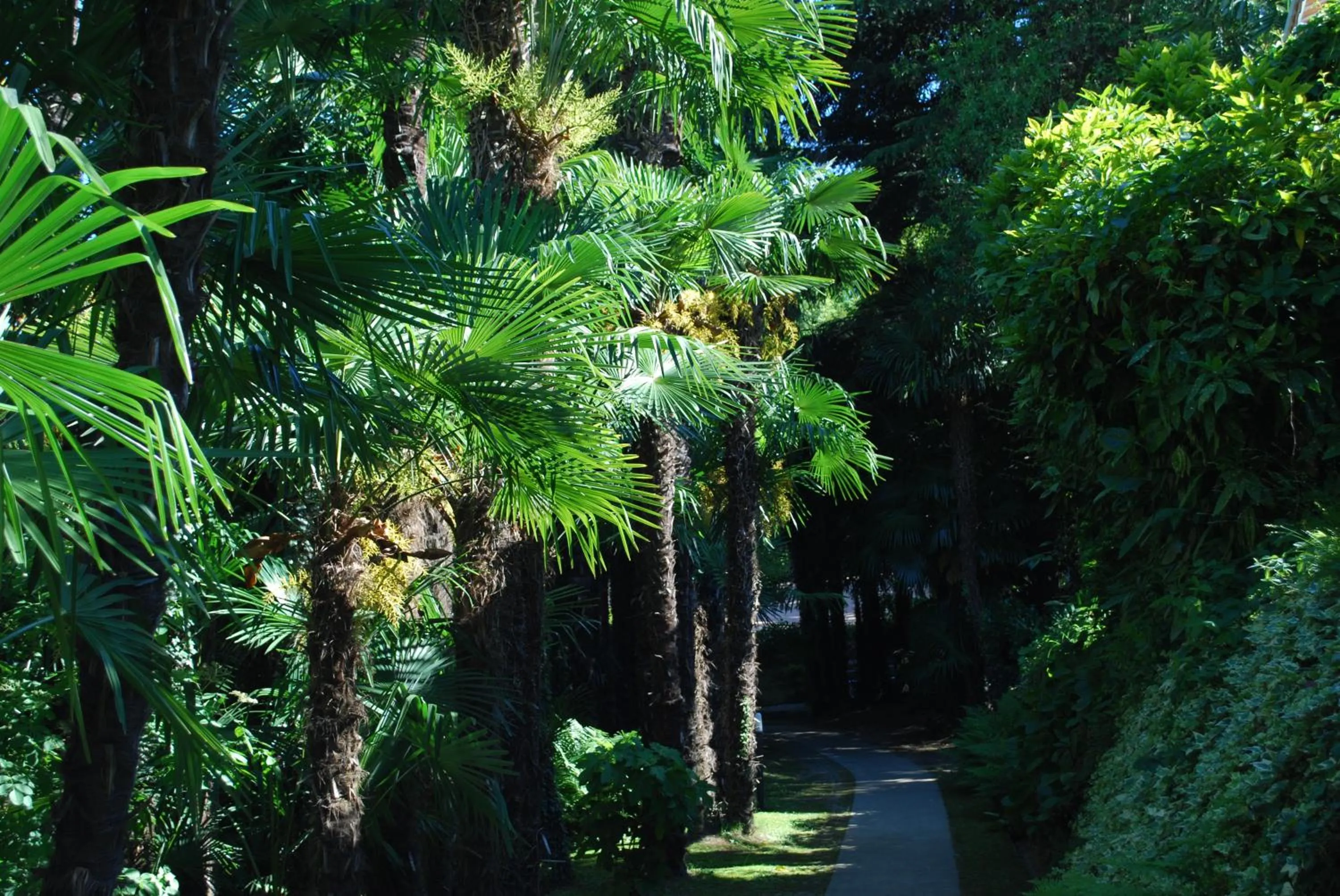 Garden in Hotel&Hostel Montarina