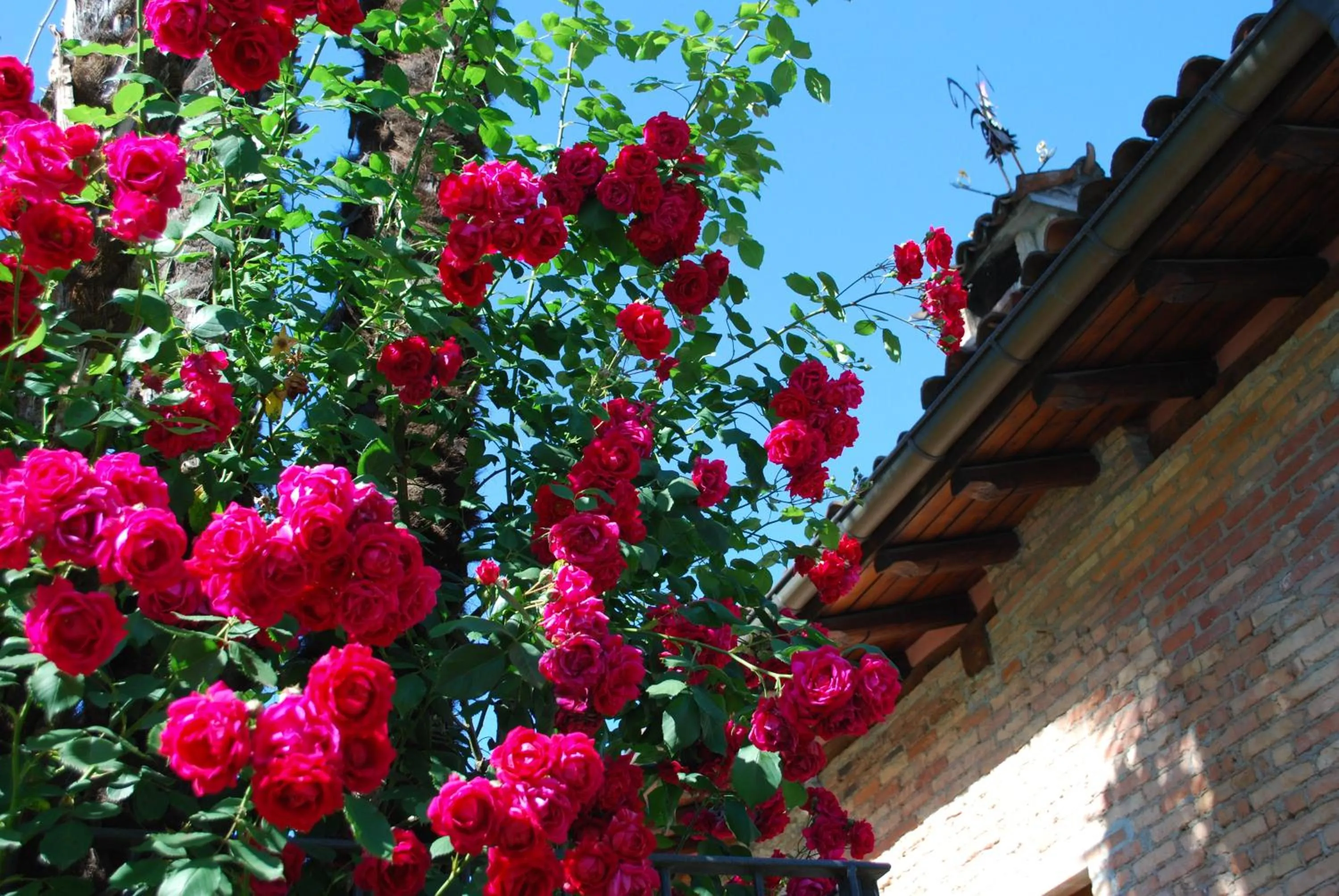 Spring in Hotel&Hostel Montarina