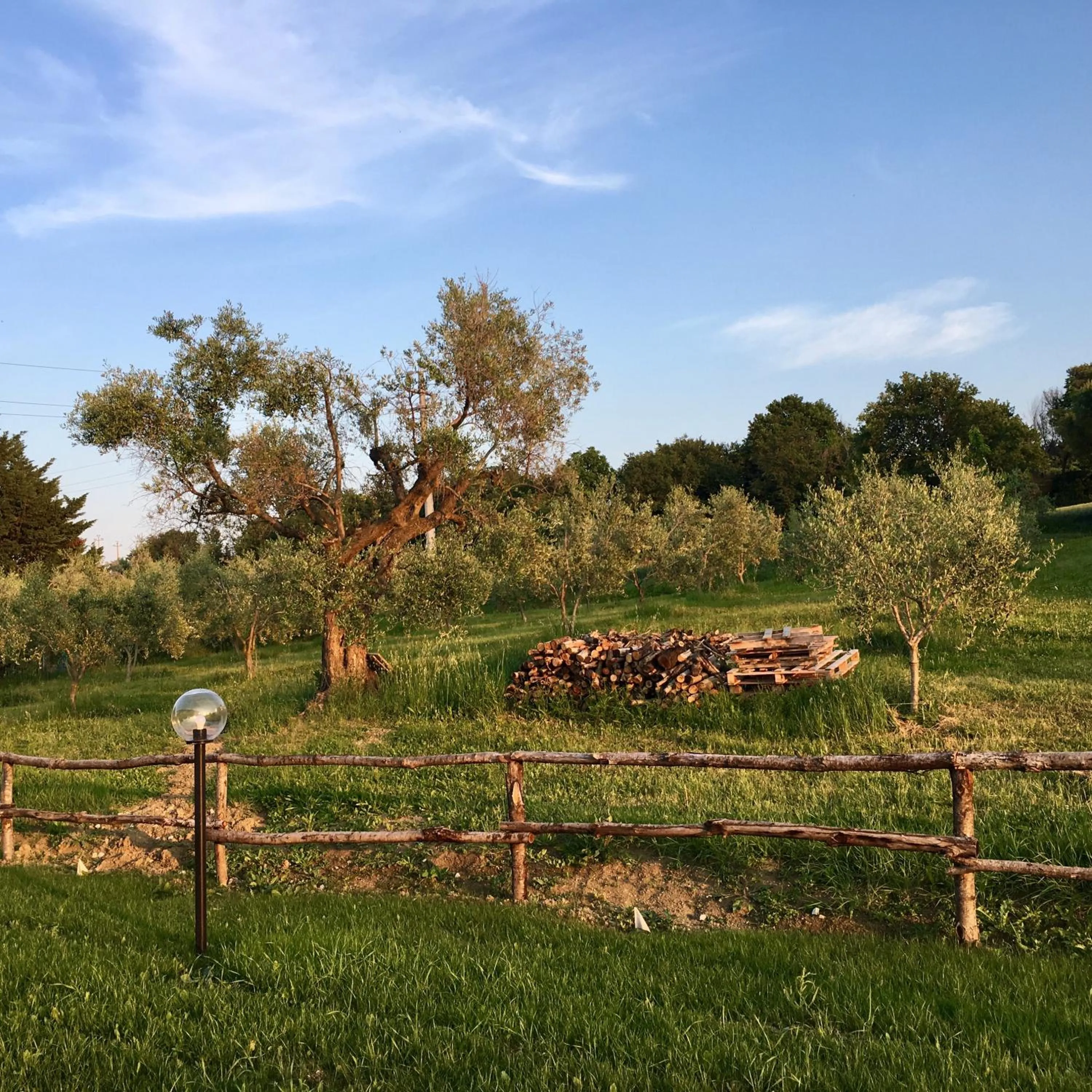 Garden view in La Goiaba B&B