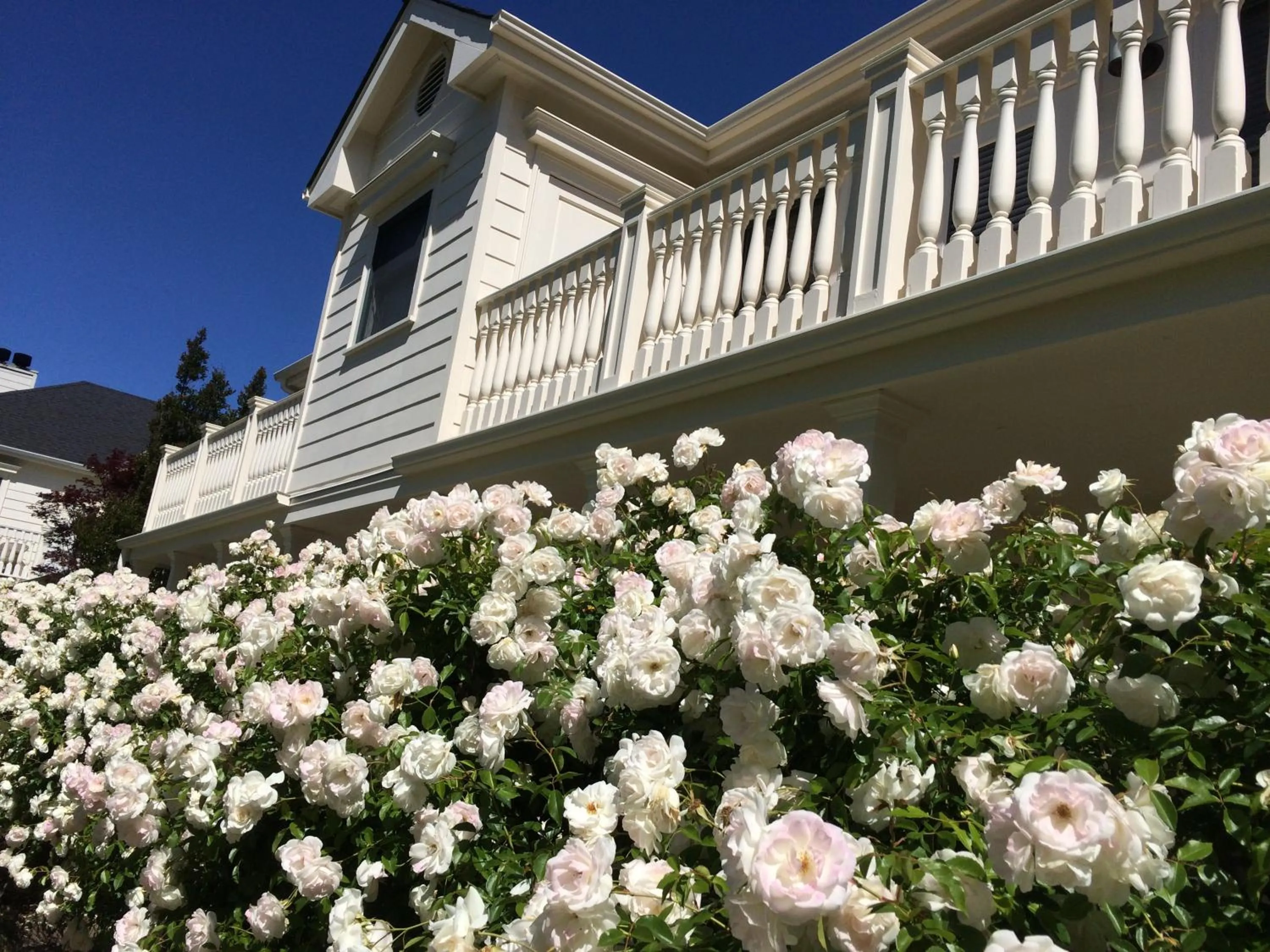 Day in MacArthur Place Inn & Spa