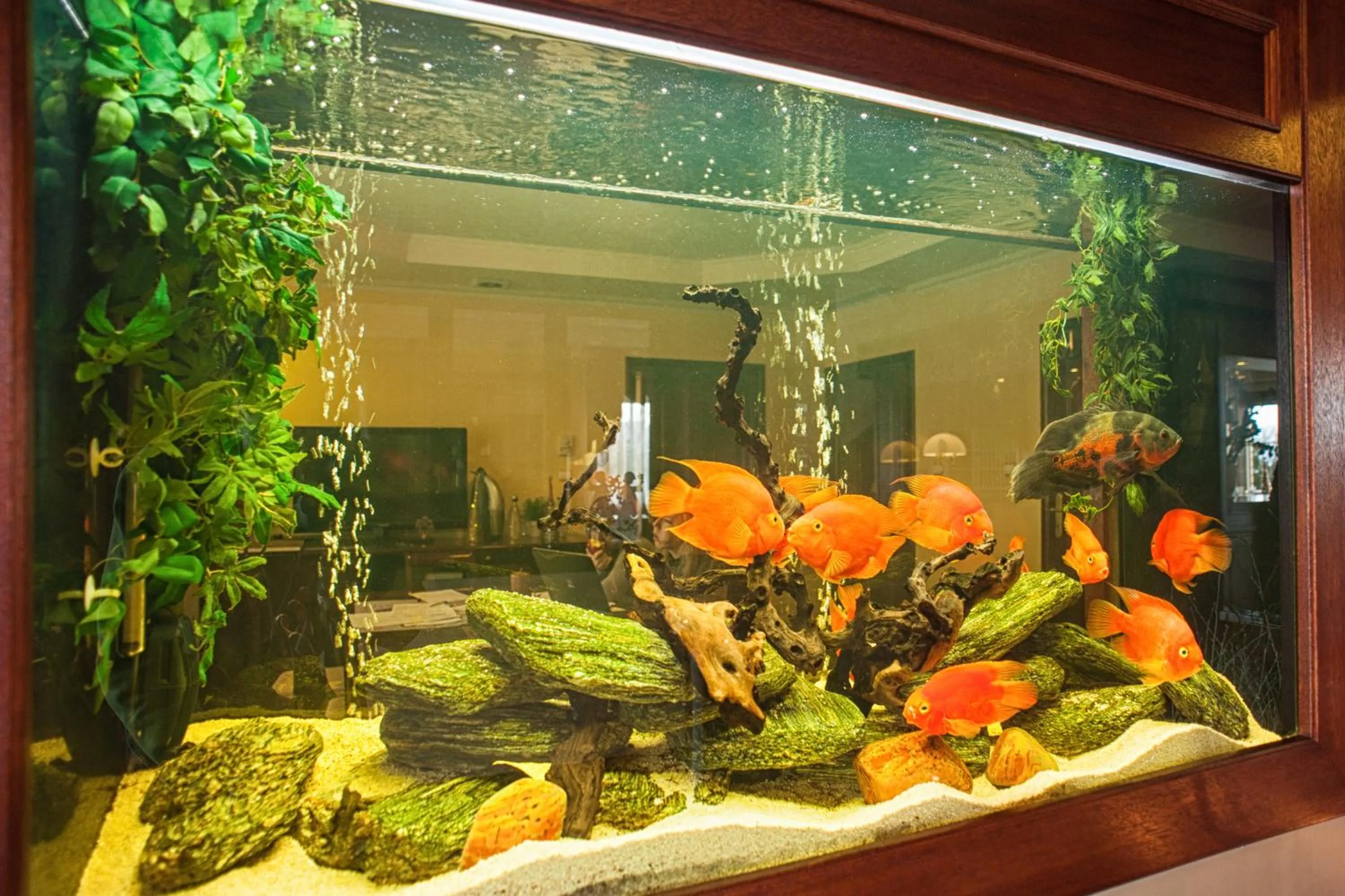 Decorative detail in Hotel Batory