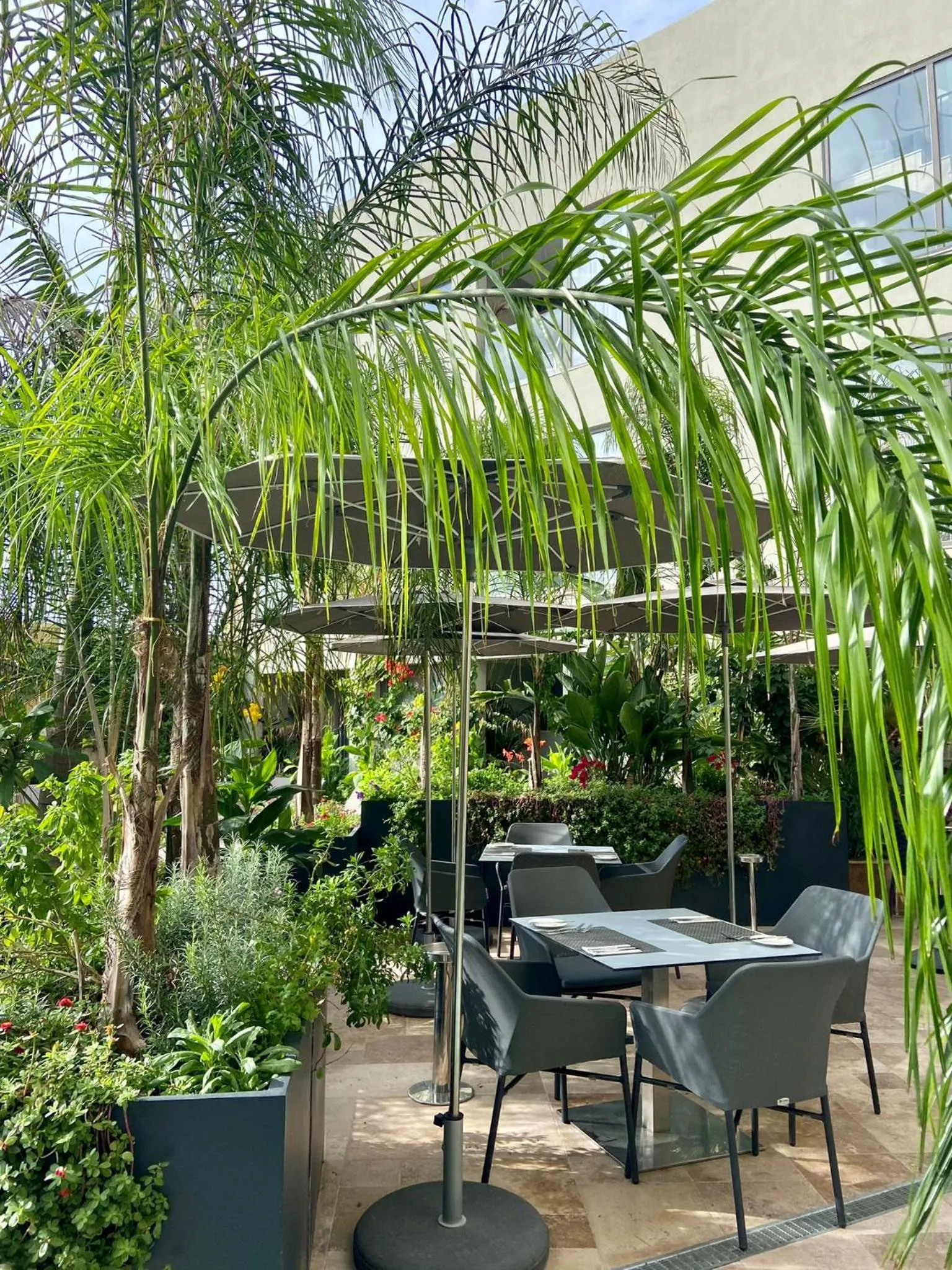 Garden in The Village Boutique and SPA