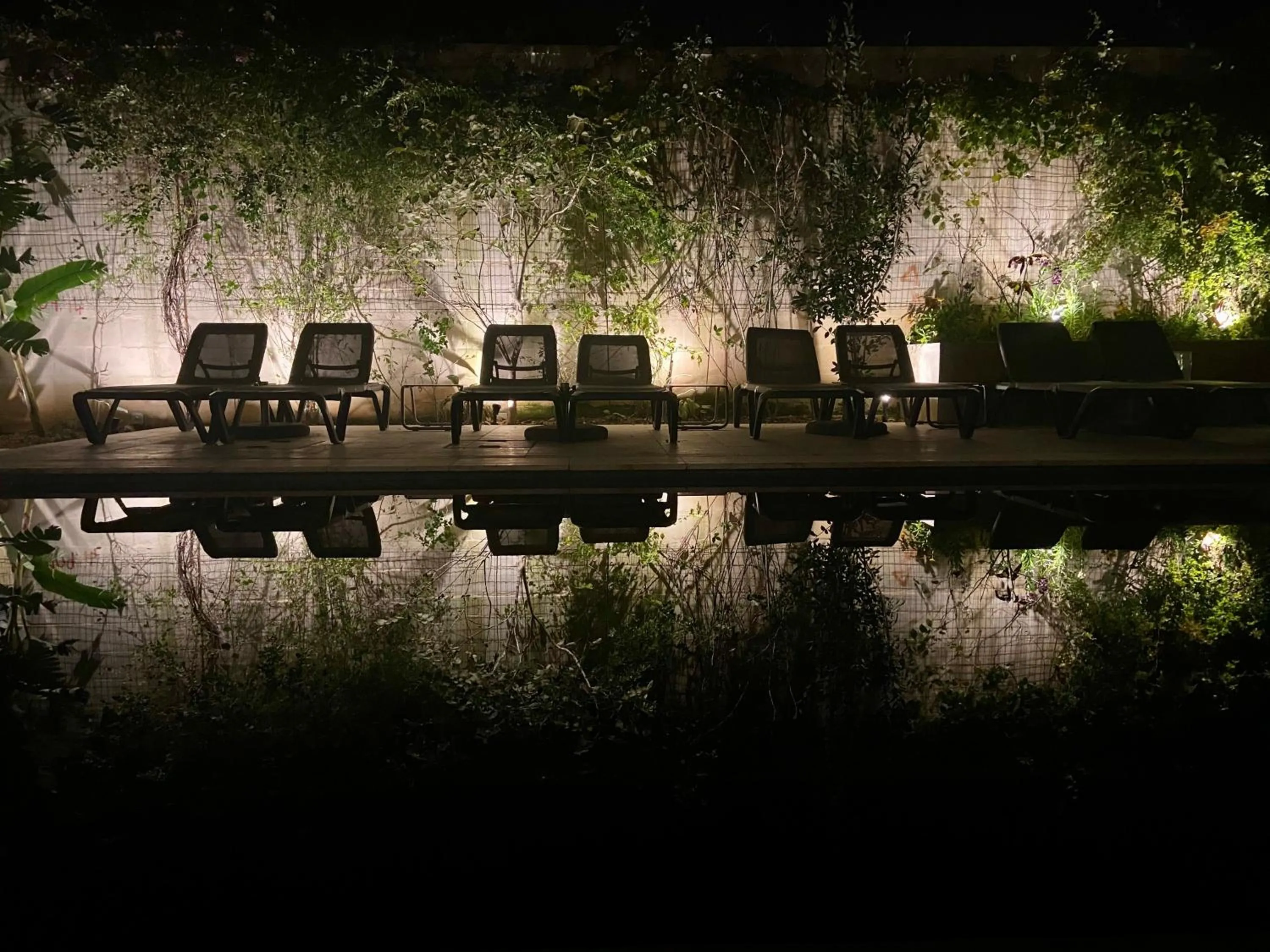 Garden in The Village Boutique and SPA