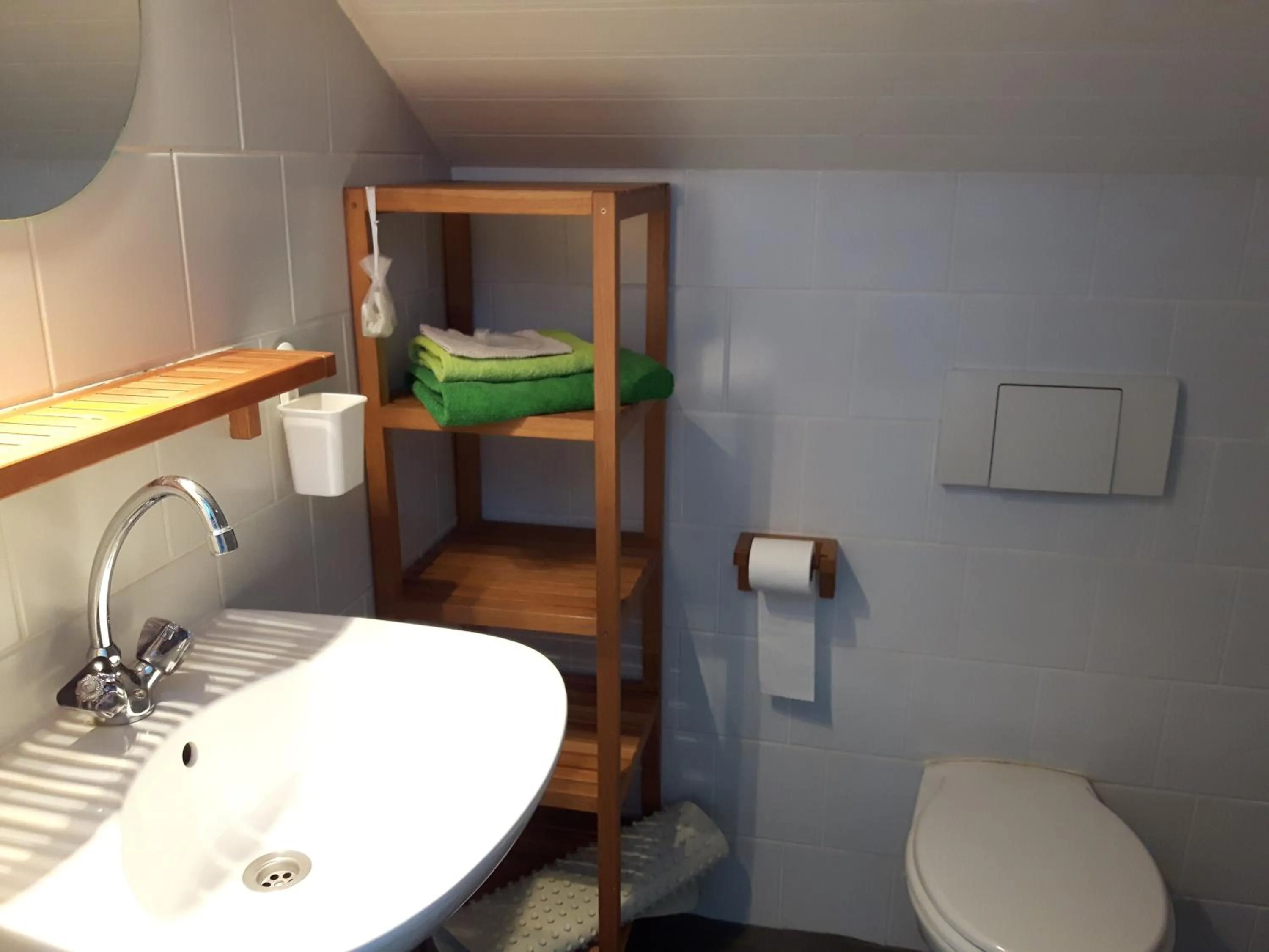 Shower in B&B De Kunstpraktijk