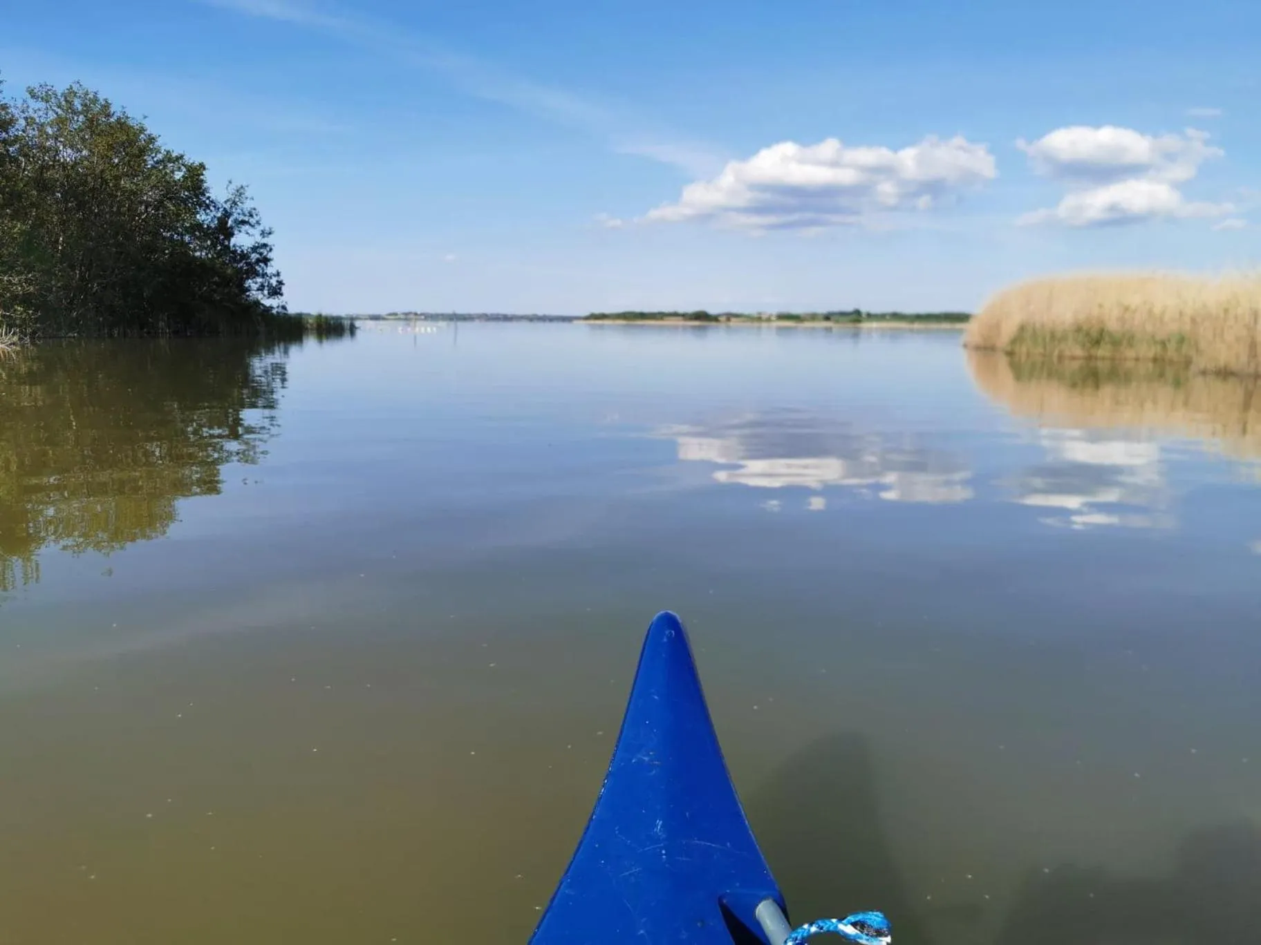 Natural landscape in Frederiksværk Camping & Hostel