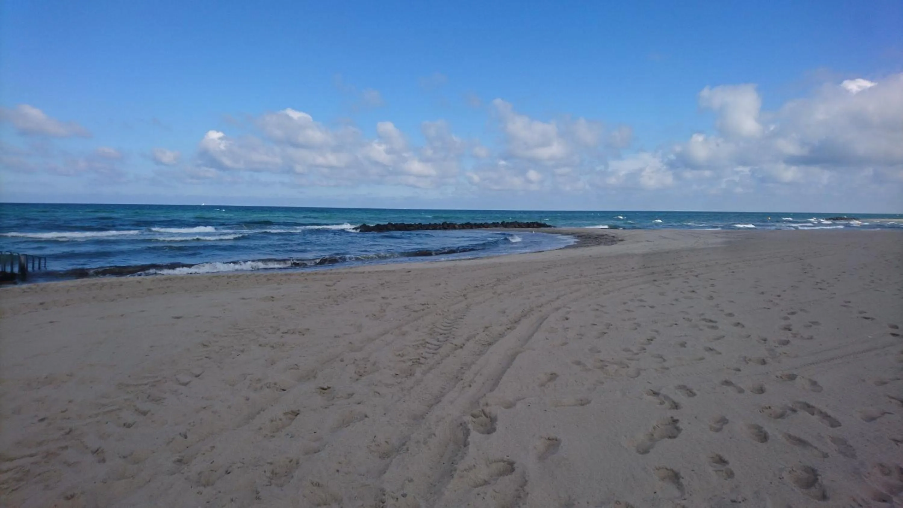Natural landscape in Frederiksværk Camping & Hostel