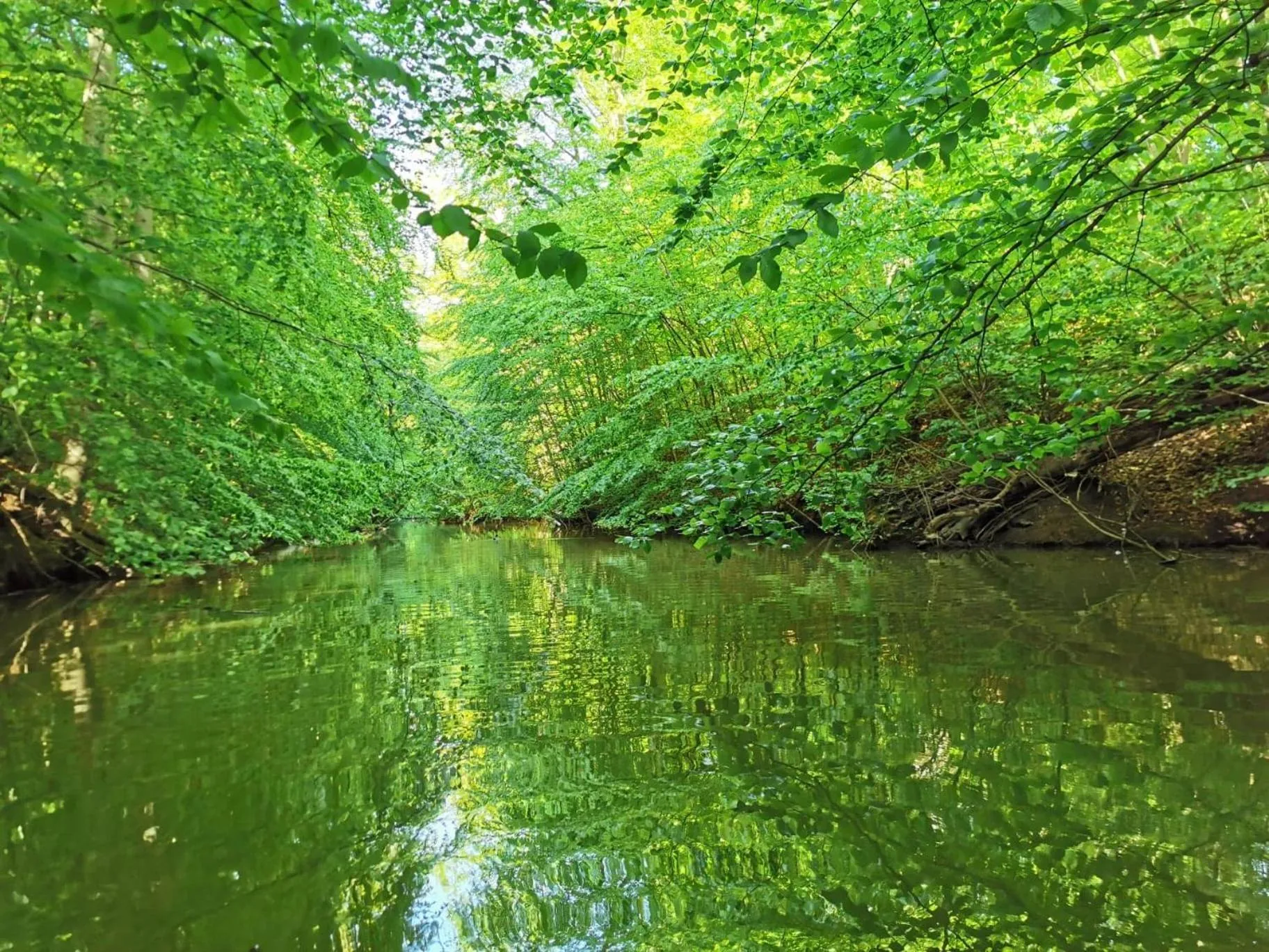 Natural landscape in Frederiksværk Camping & Hostel