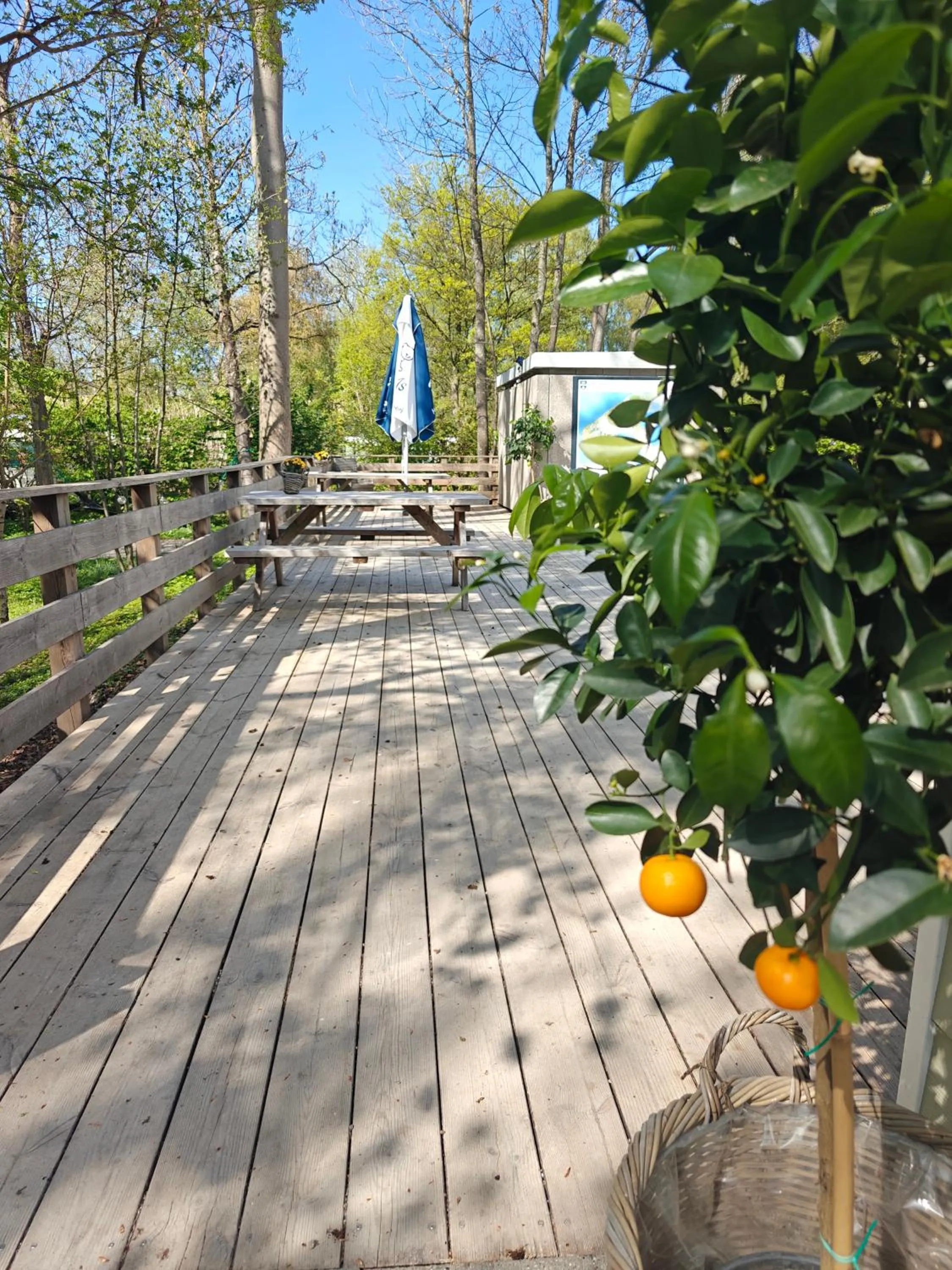 Spring in Frederiksværk Camping & Hostel