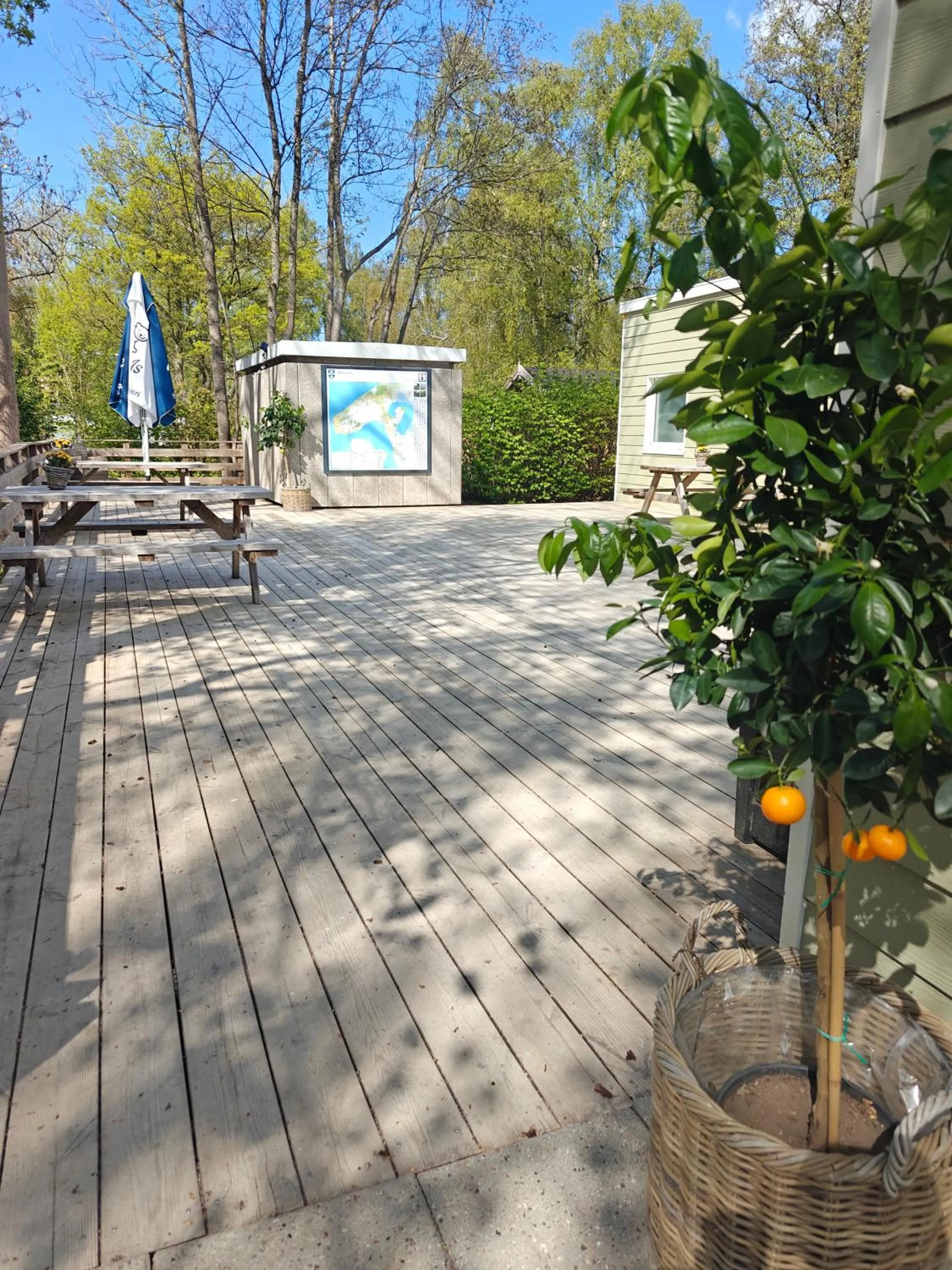 Spring in Frederiksværk Camping & Hostel