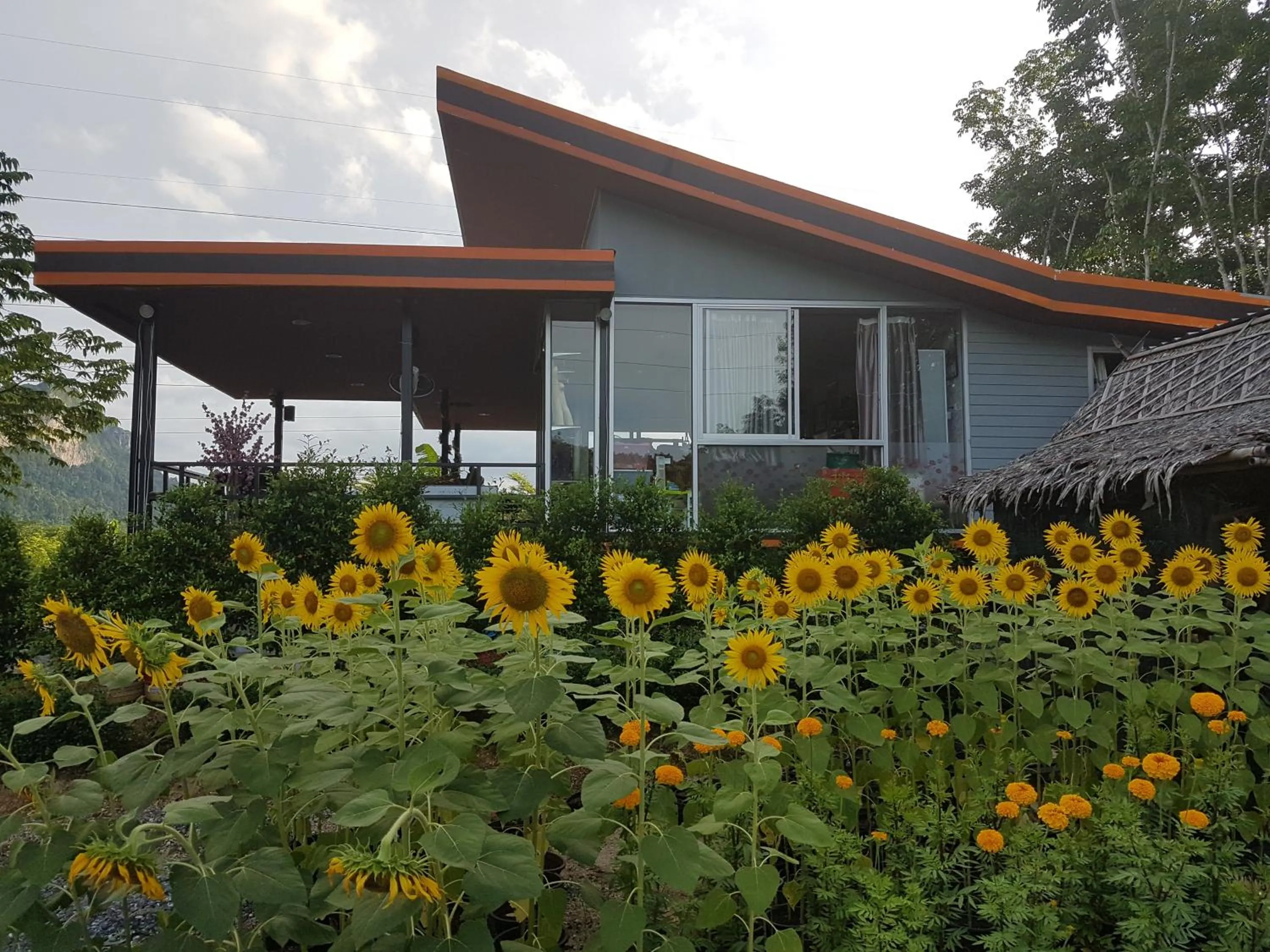 Landmark view in Rai Eingpu