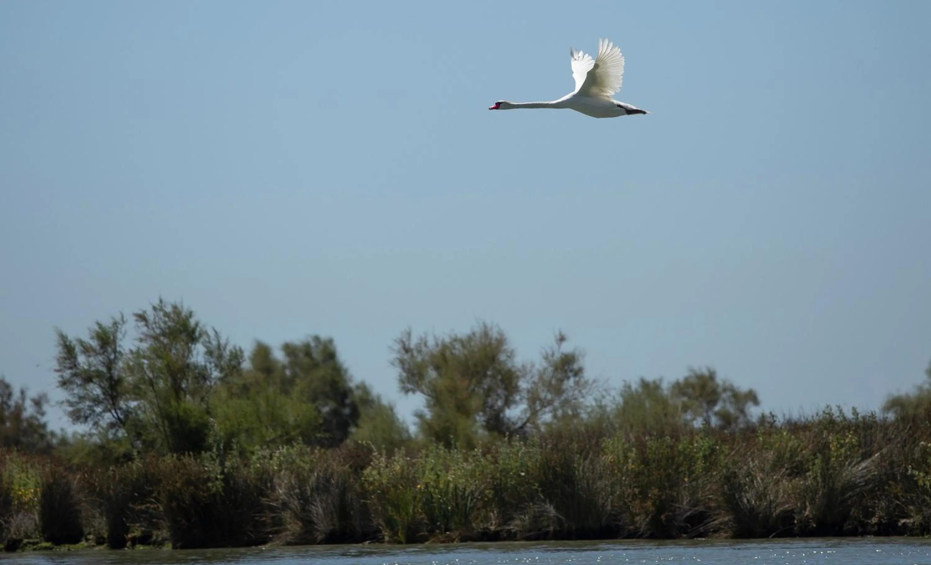 Off site in Mas de la Fouque - Hôtel & Spa