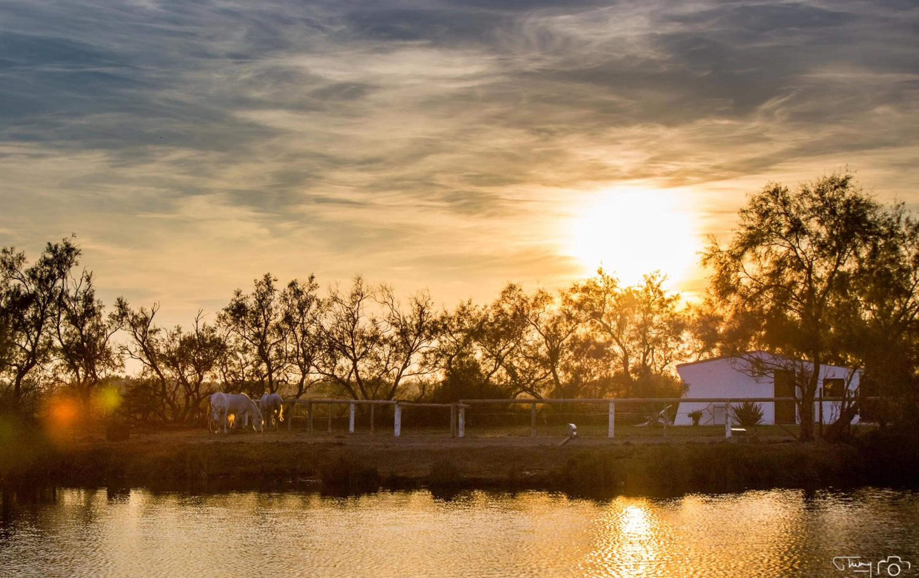 Natural landscape in Mas de la Fouque - Hôtel & Spa