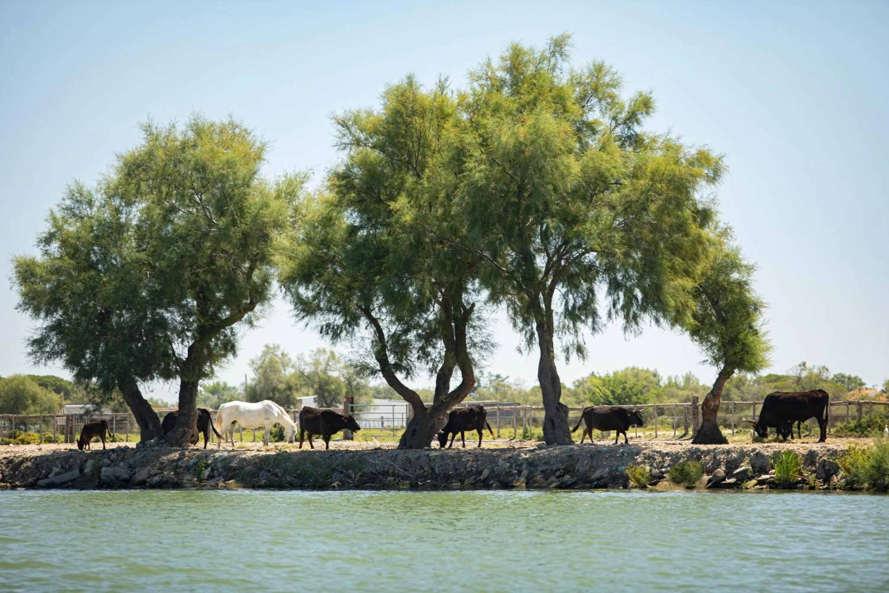 Off site in Mas de la Fouque - Hôtel & Spa