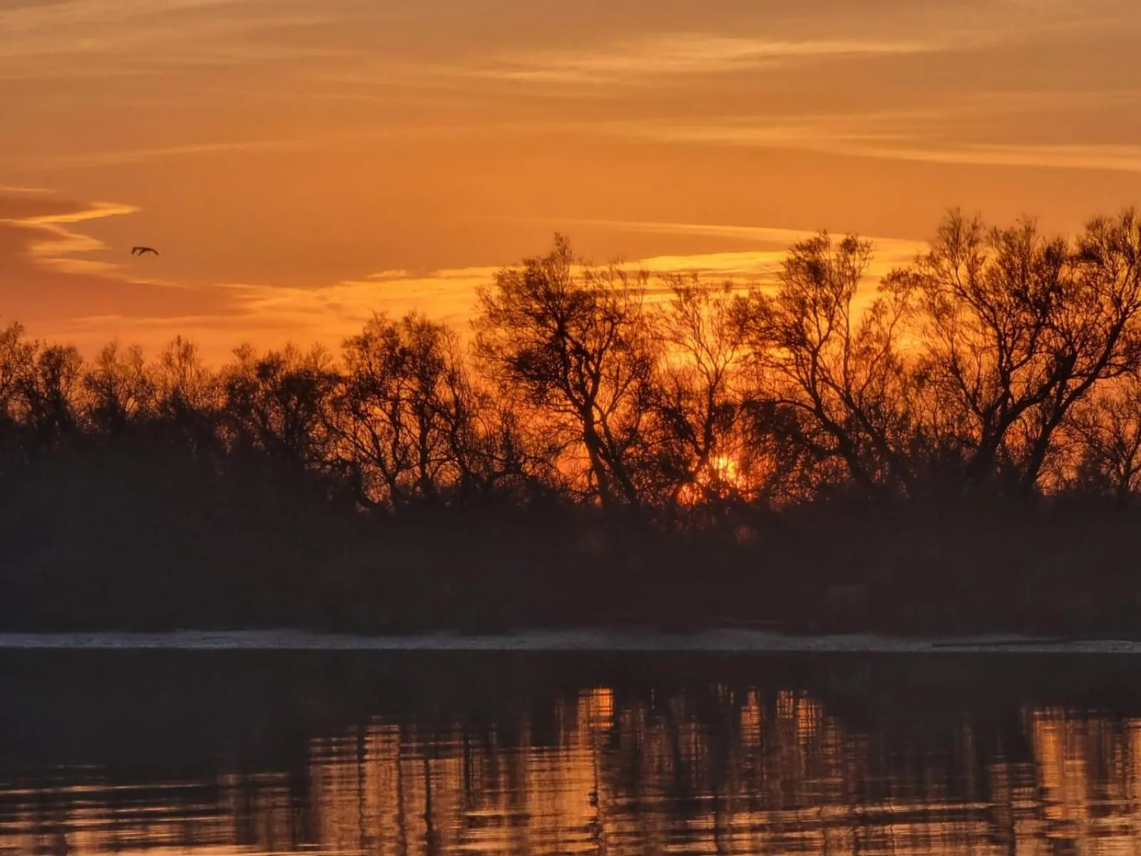 Off site in Mas de la Fouque - Hôtel & Spa
