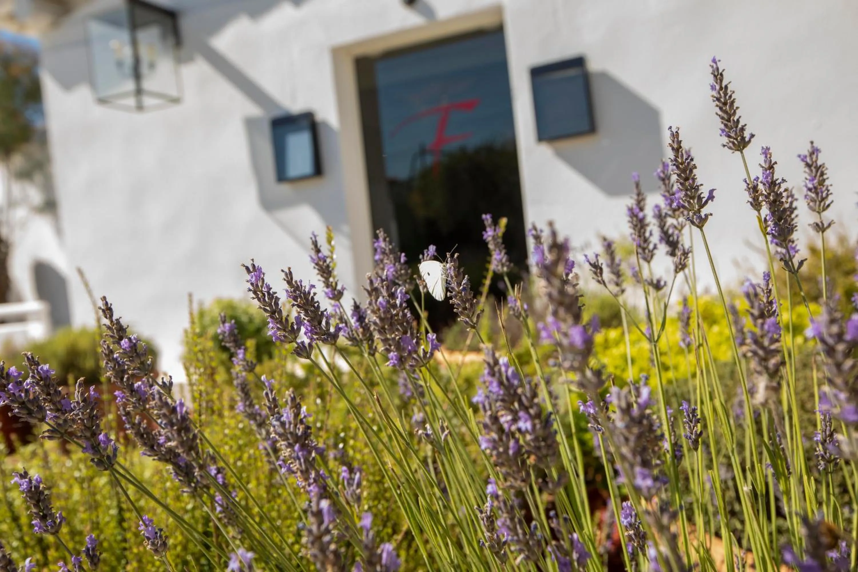 Lobby or reception in Mas de la Fouque - Hôtel & Spa