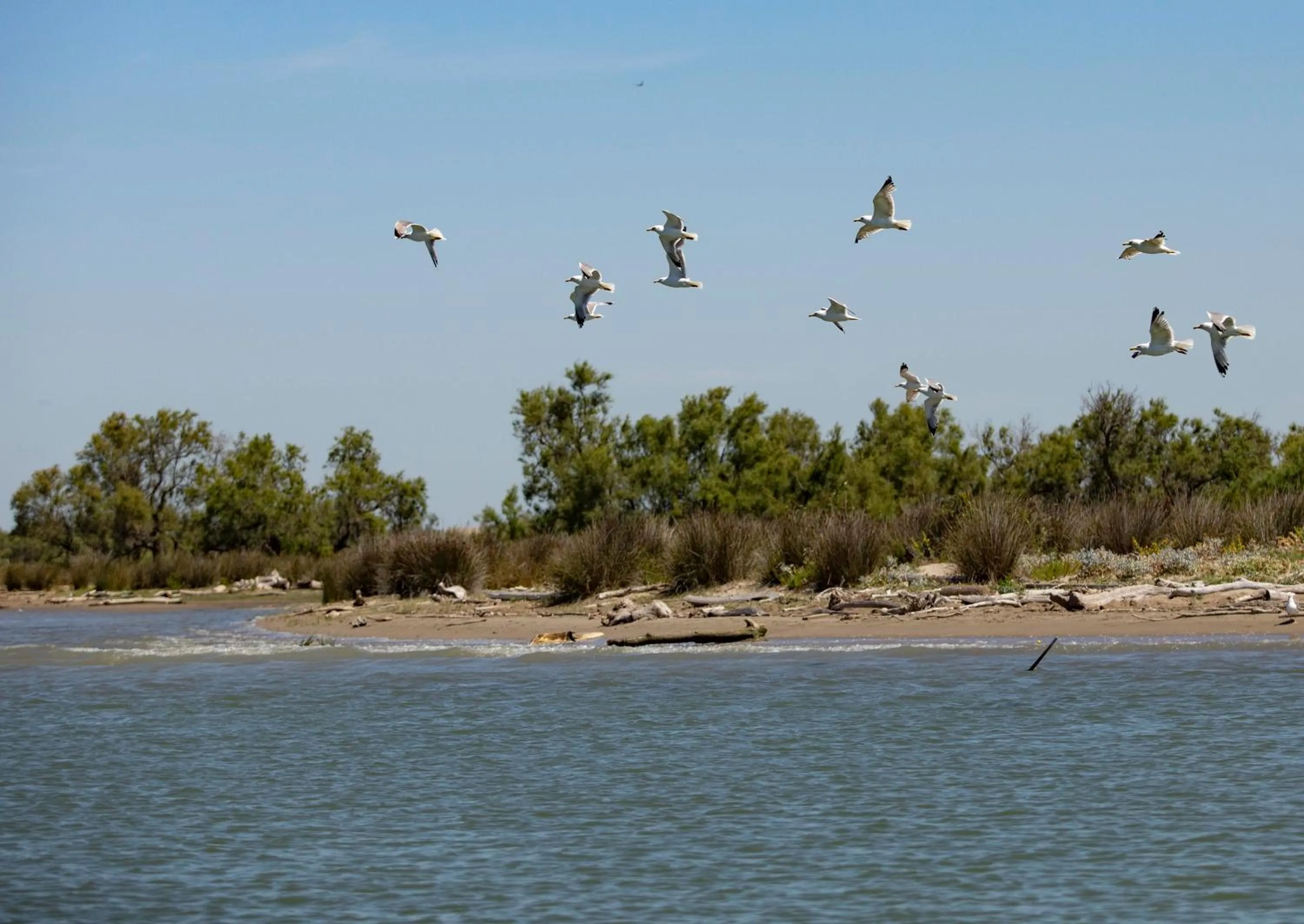 Off site in Mas de la Fouque - Hôtel & Spa