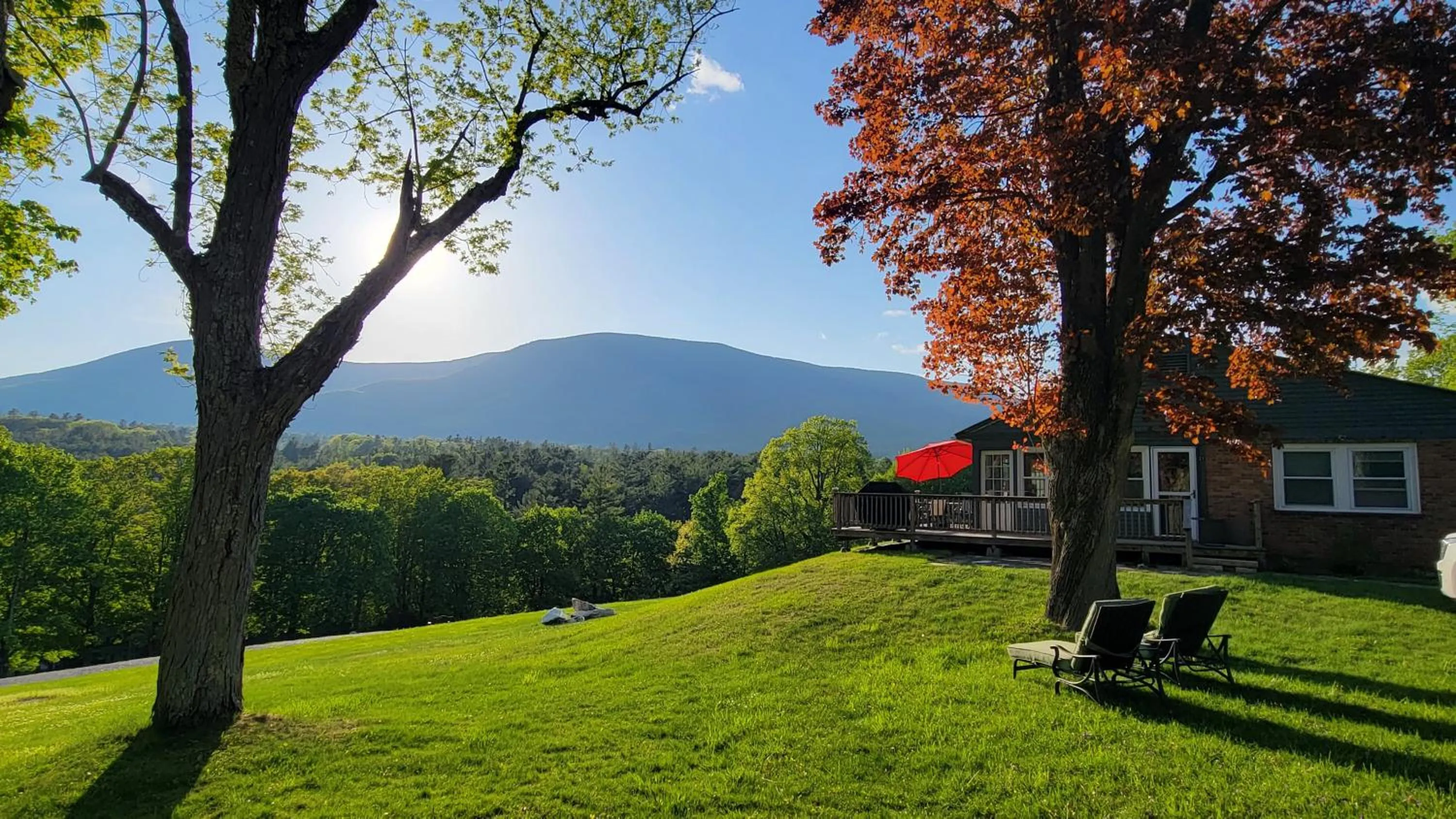 View (from property/room) in Wilburton Inn