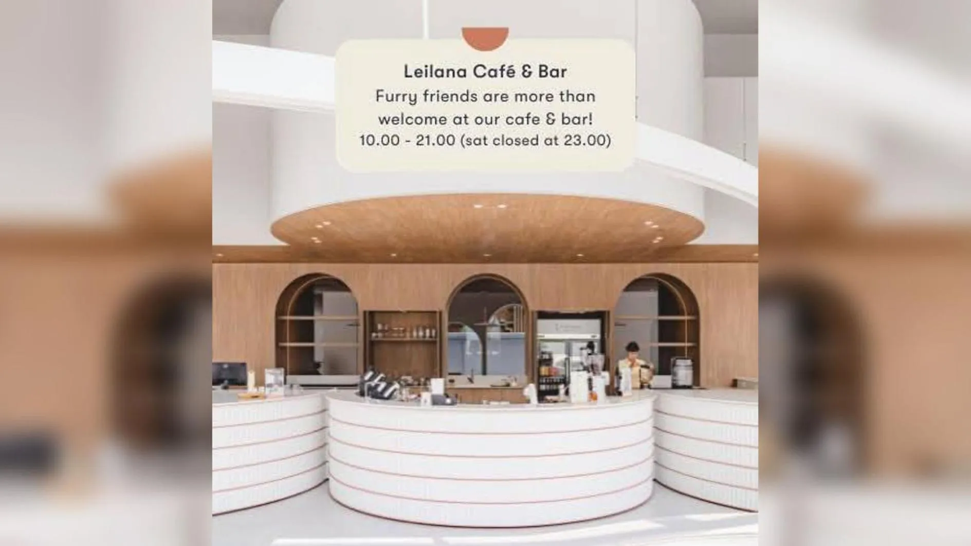 Lounge or bar in Terra Nara