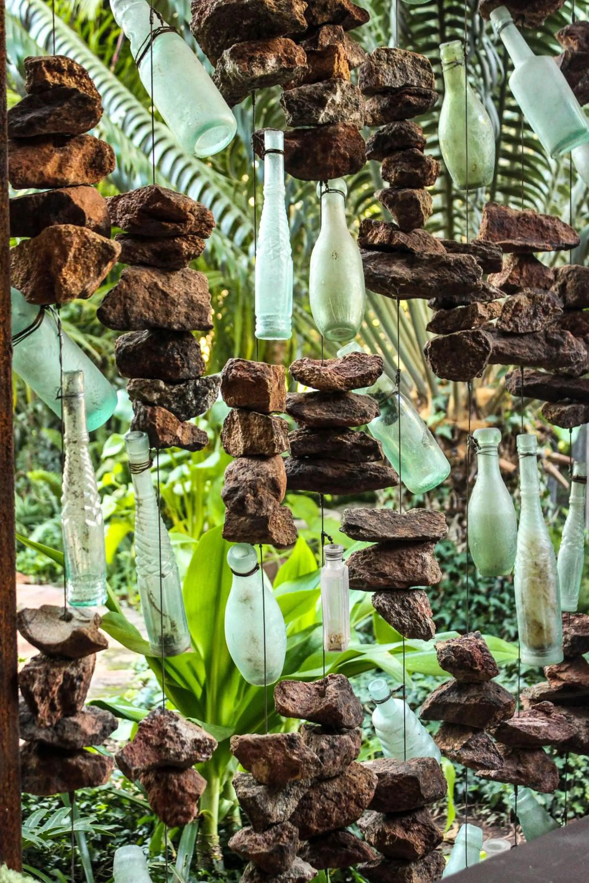 Garden in Polo Guest House