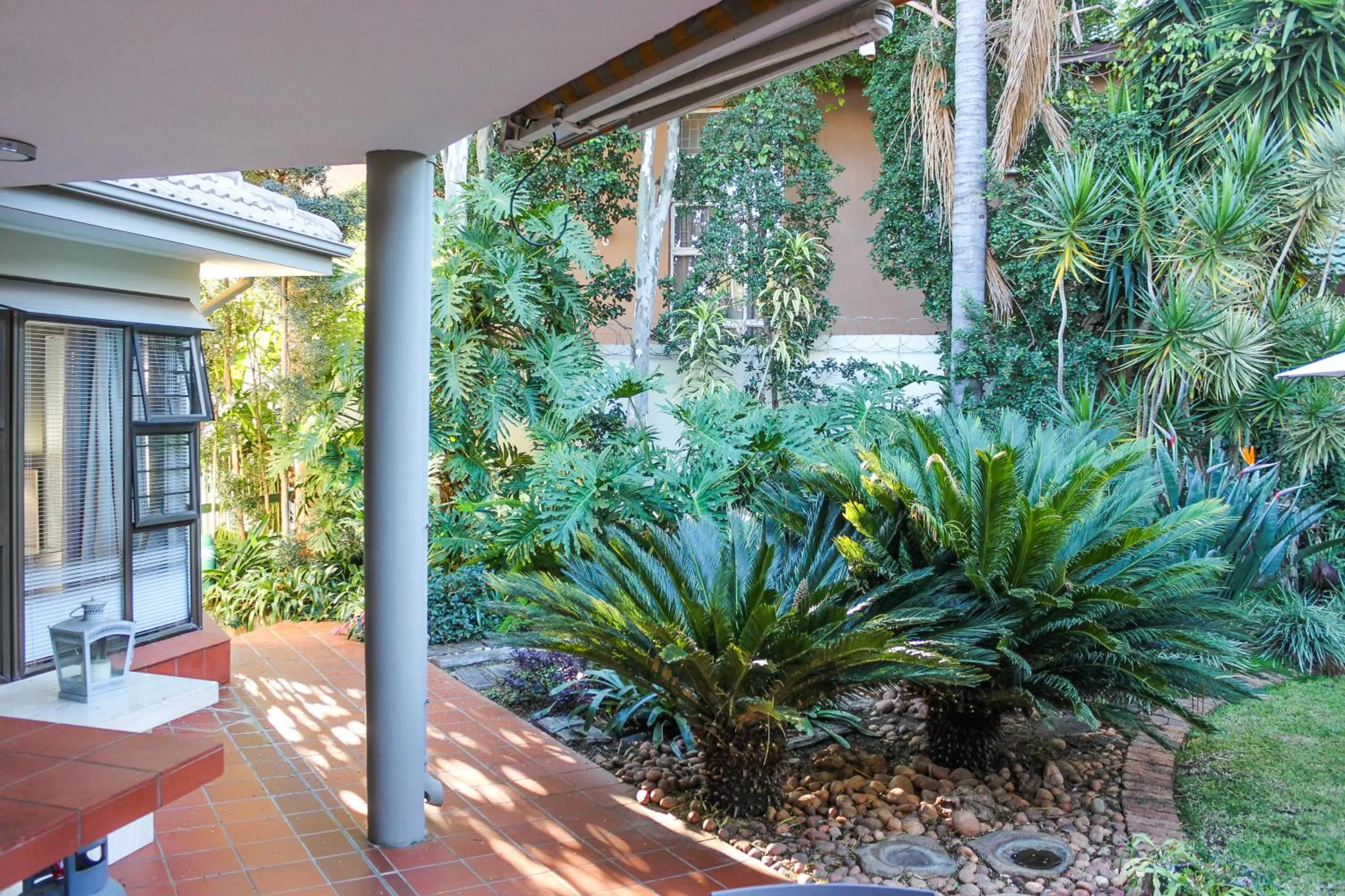 Garden view in Polo Guest House