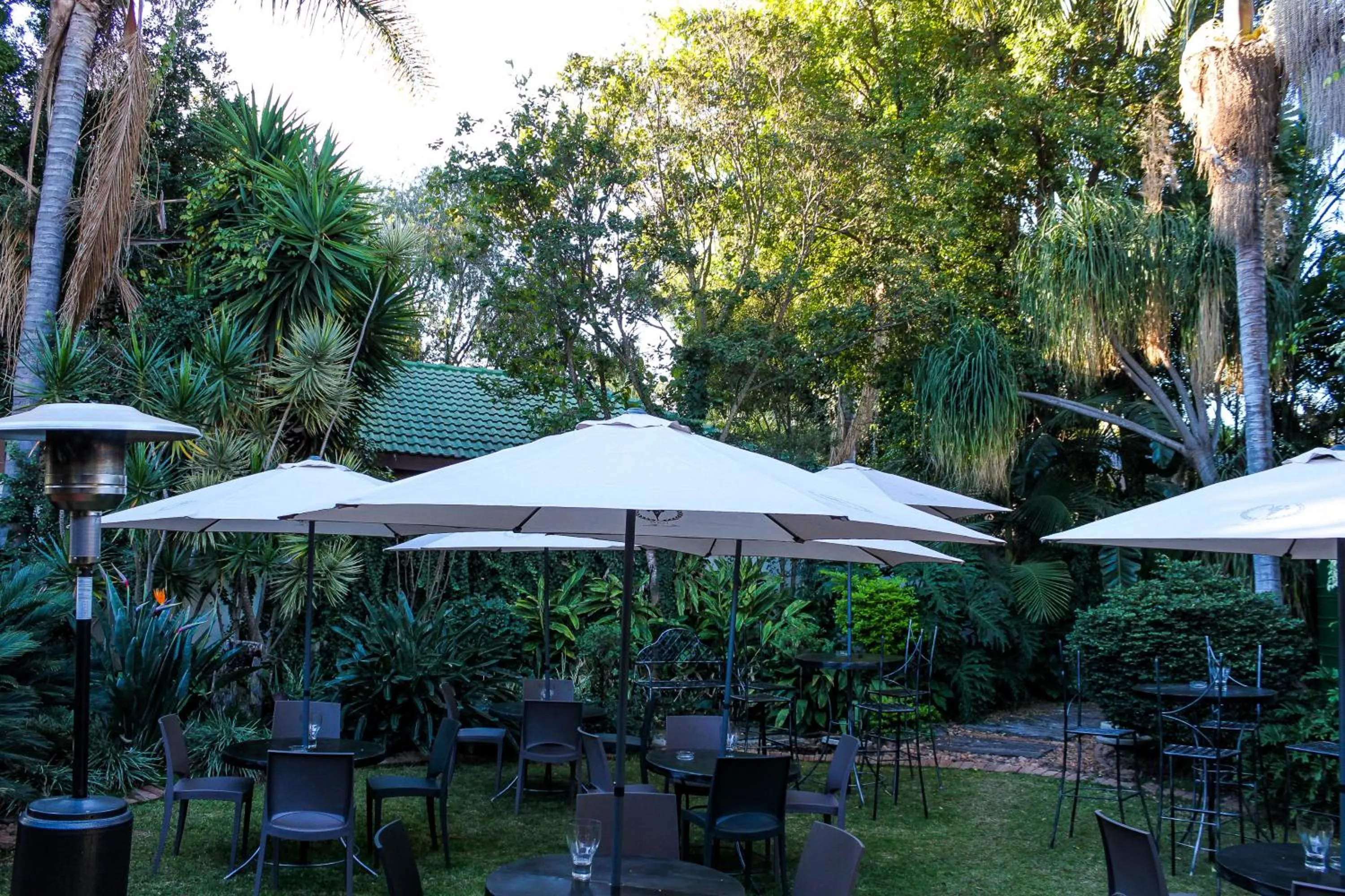 Garden in Polo Guest House