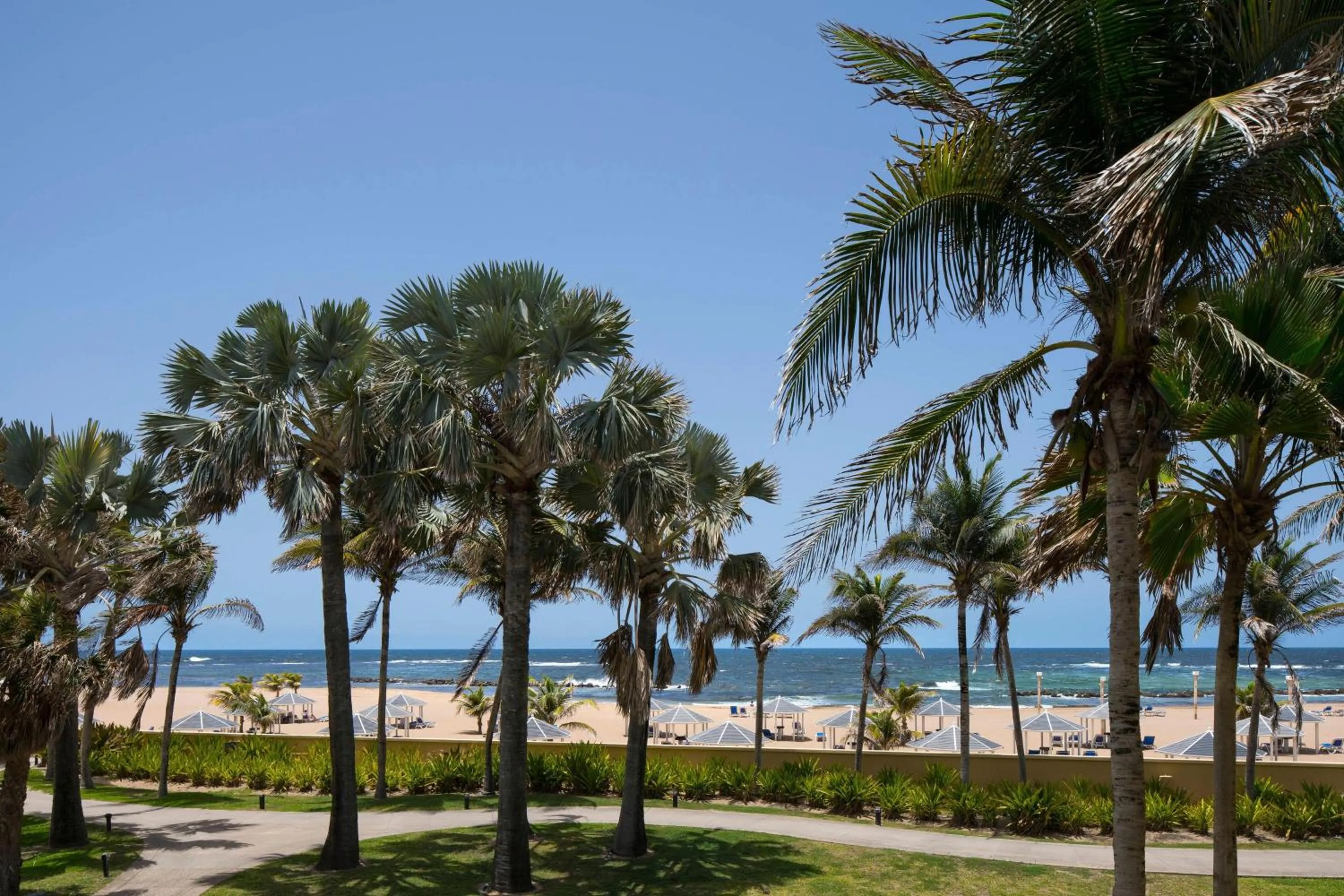 Photo of the whole room in St Kitts Marriott Beach Resort, Casino & Spa
