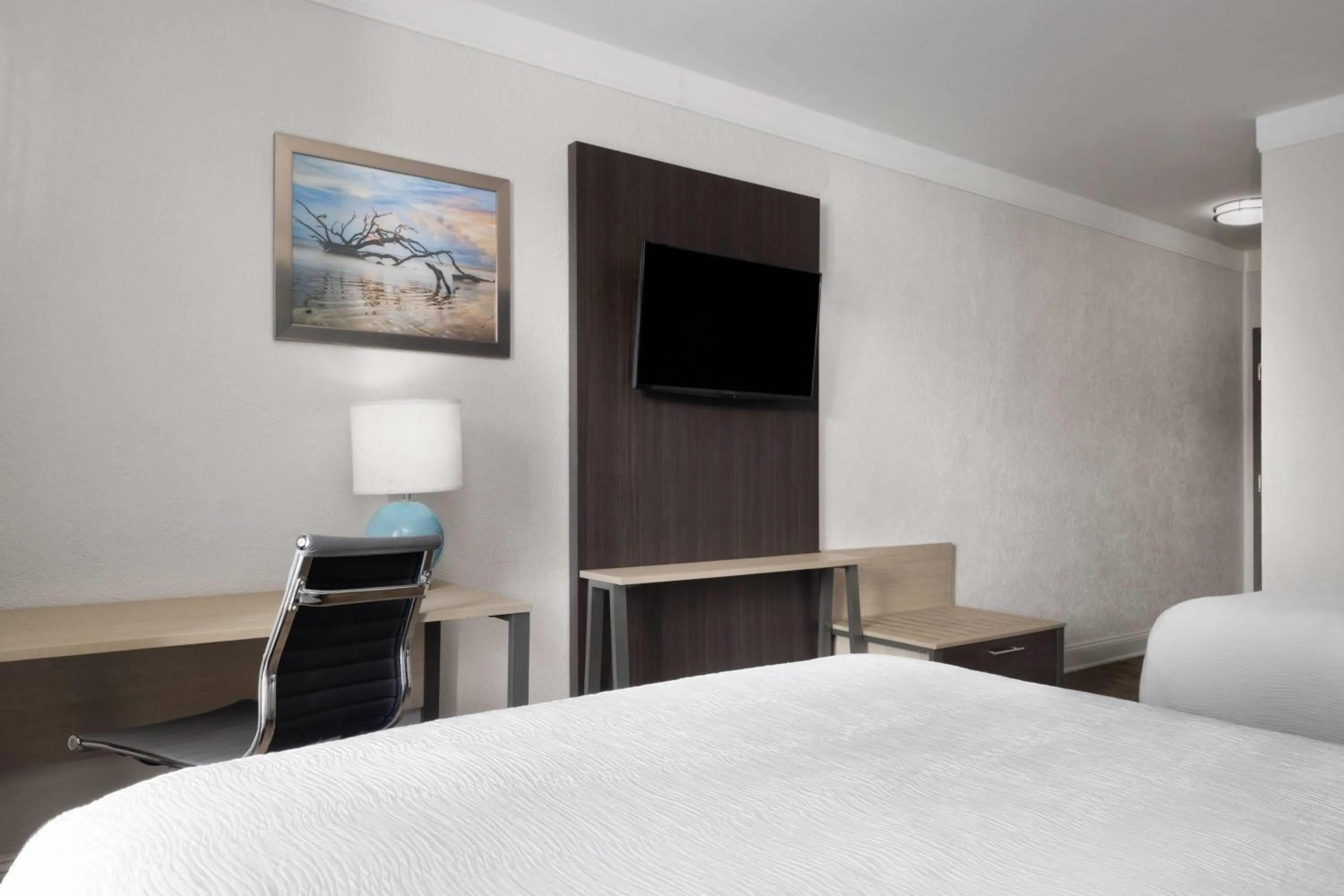 Photo of the whole room, Bed in Wingate by Wyndham Savannah Gateway